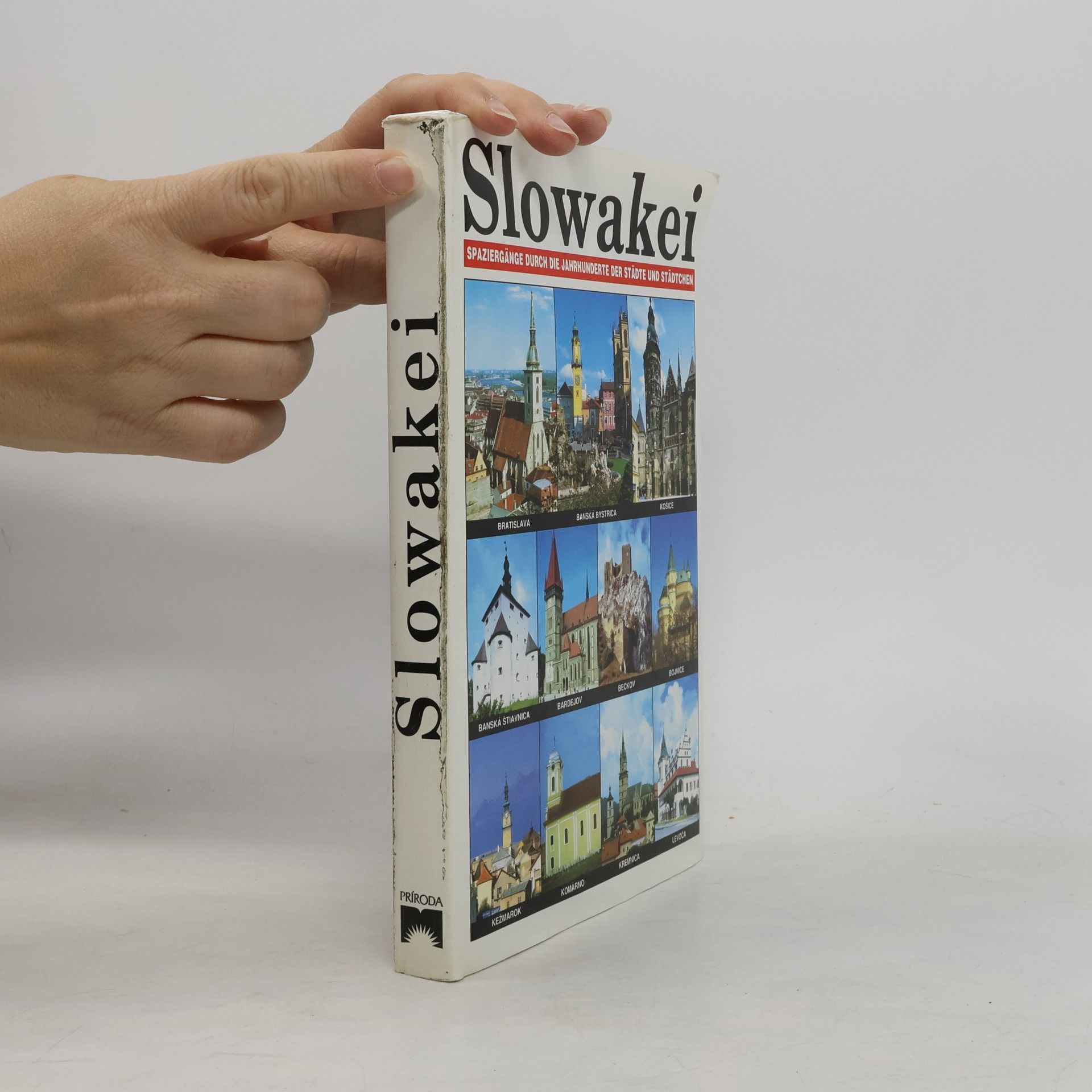 Autorenkollektiv Slowakei