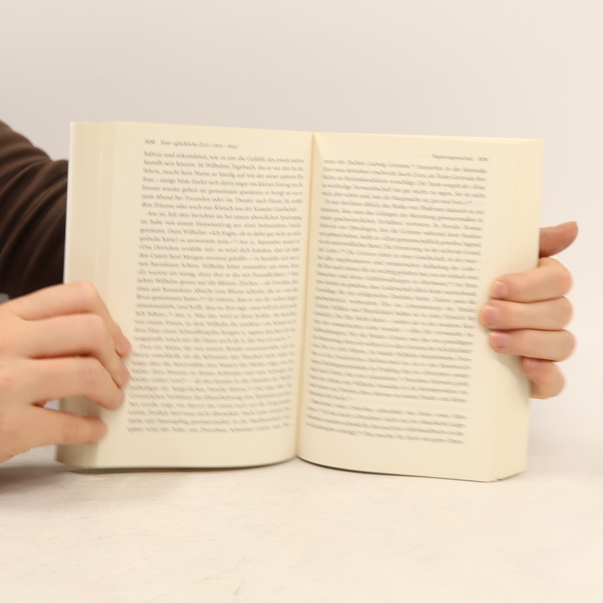 Steffen Martus Rowohlt Monographie: Die Brüder Grimm