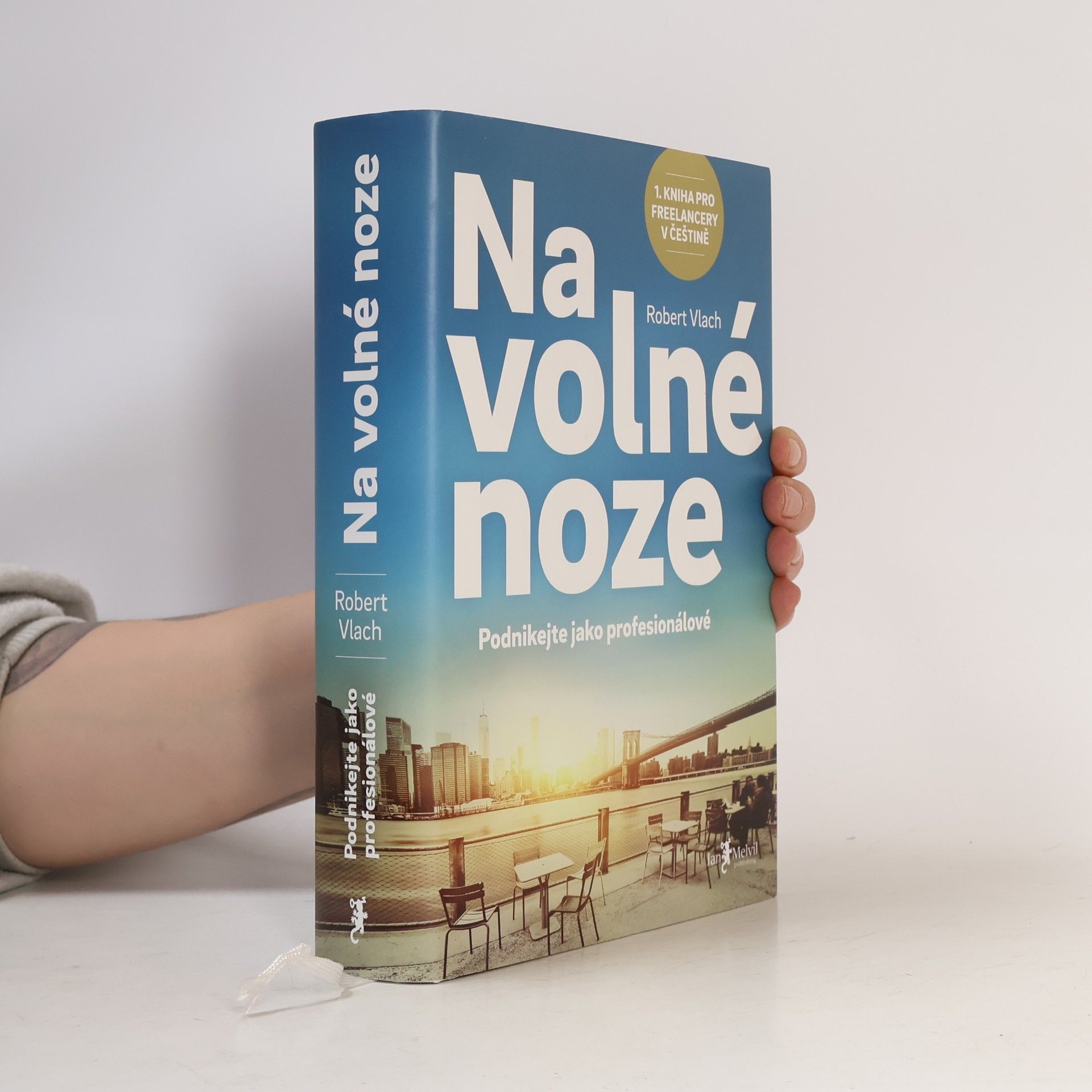 Robert Vlach (podnikatel) Na volné noze