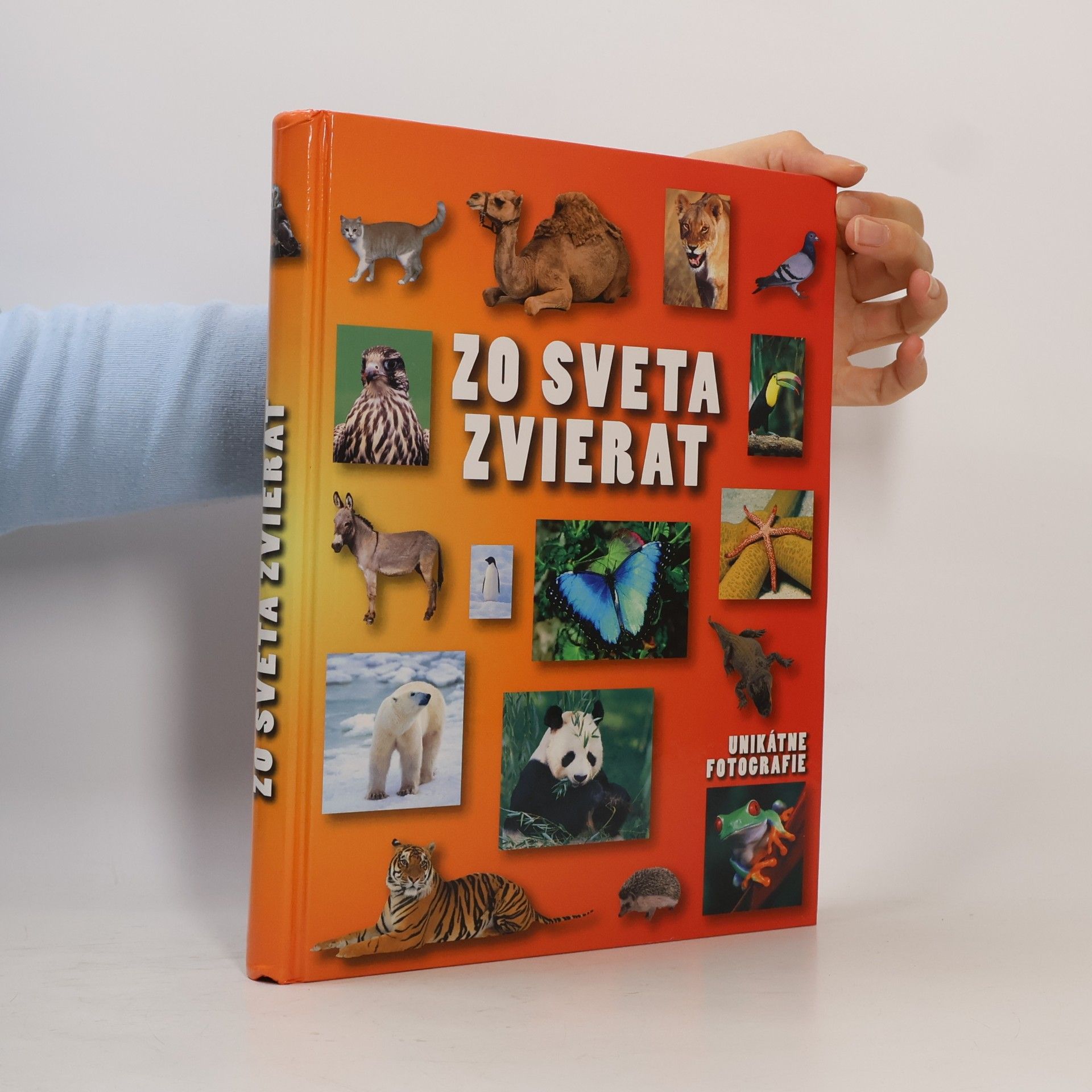 Autorenkollektiv Zo sveta zvierat
