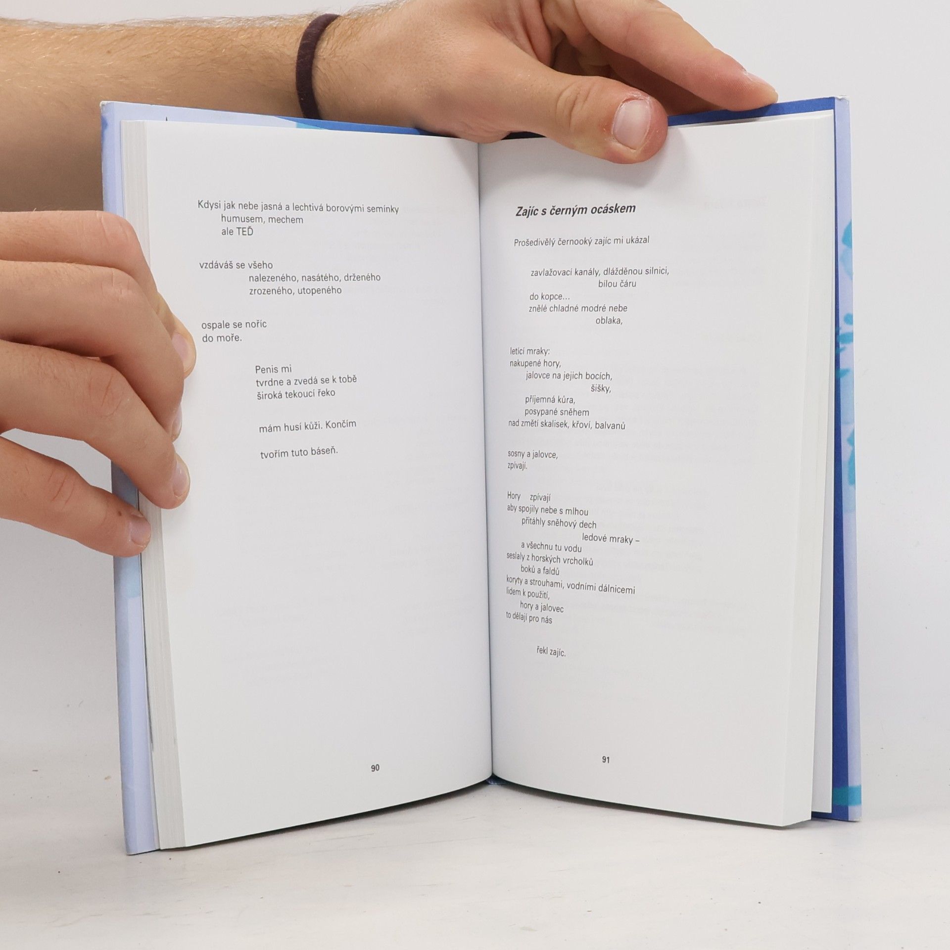 Gary Snyder Hory a řeky bez konce