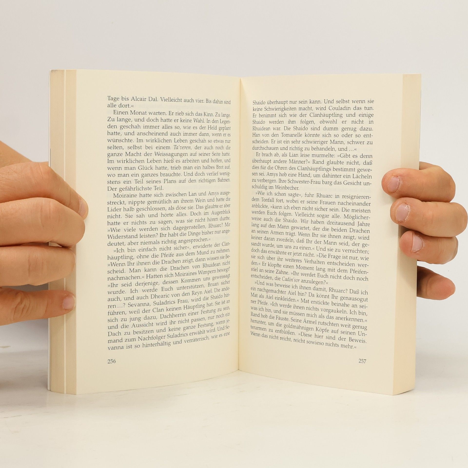 Robert Jordan Der Sturm bricht los