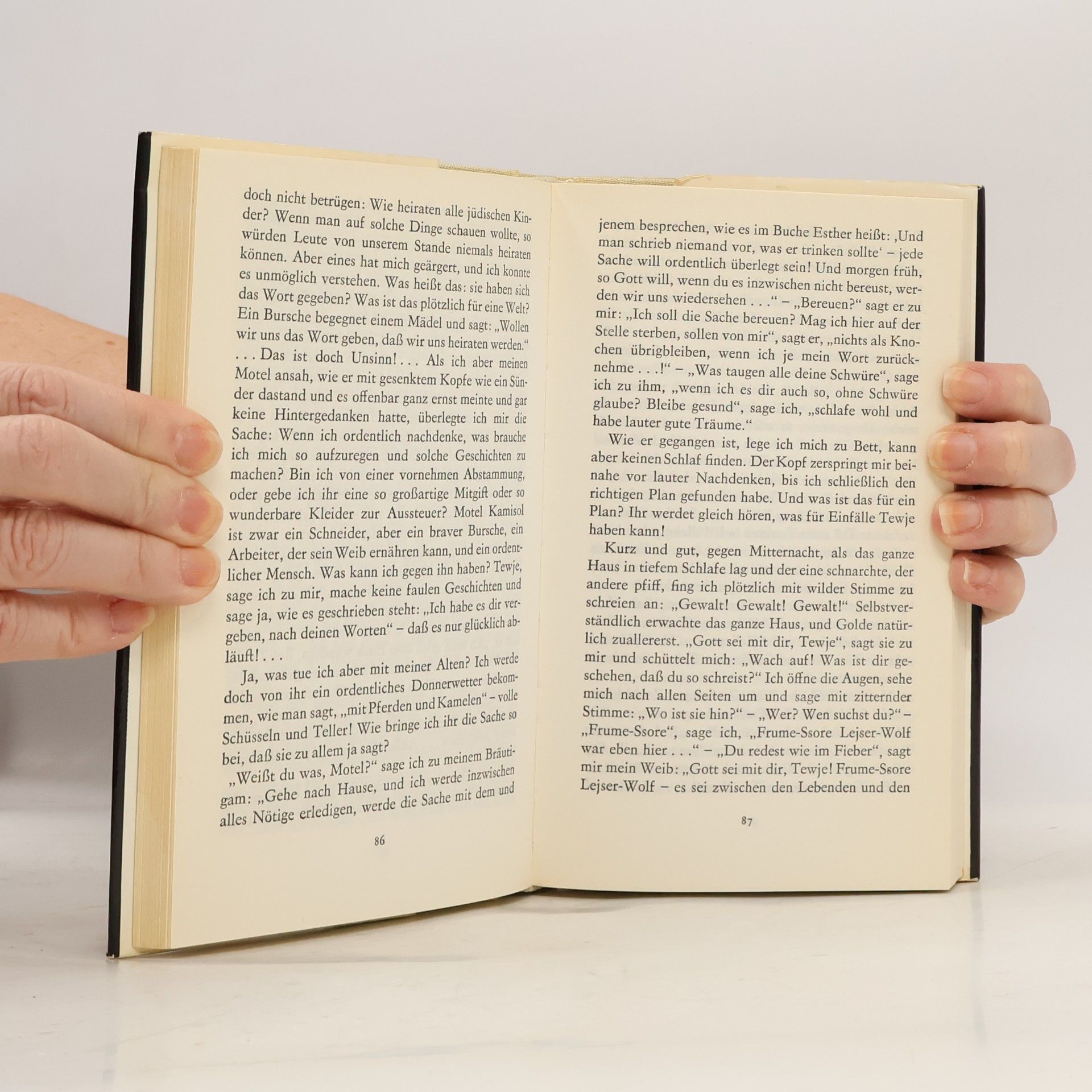Sholem Aleichem Die Geschichten von Tewje dem Milchhändlen