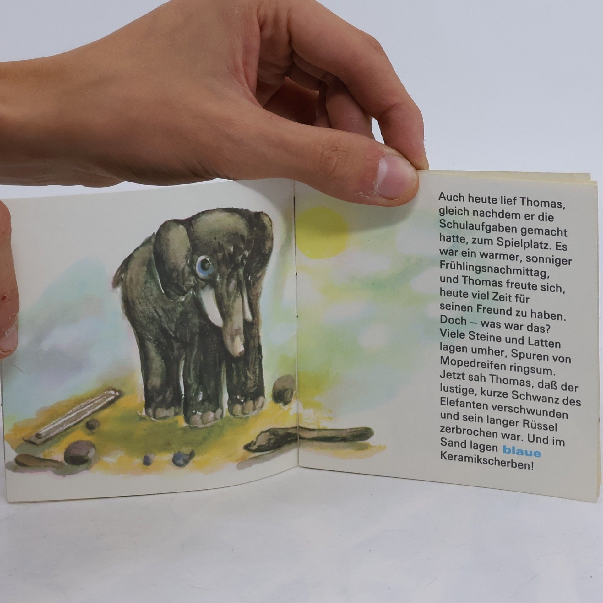 Autorenkollektiv Der Elefant mit den blauen Augen