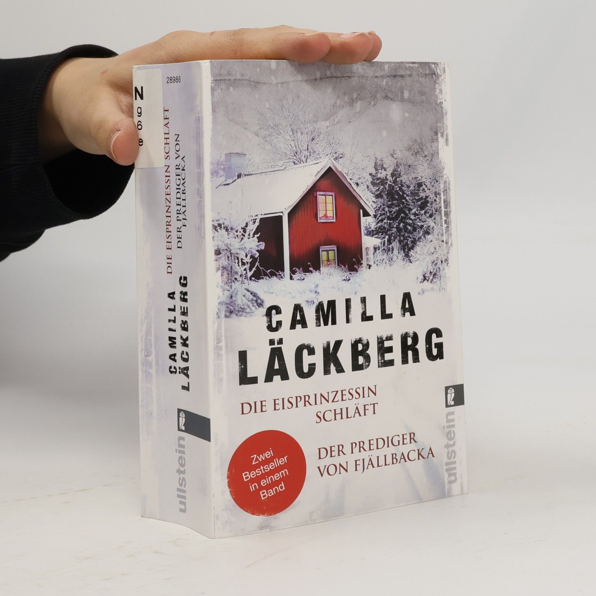 Camilla Läckberg Die Eisprinzessin schläft