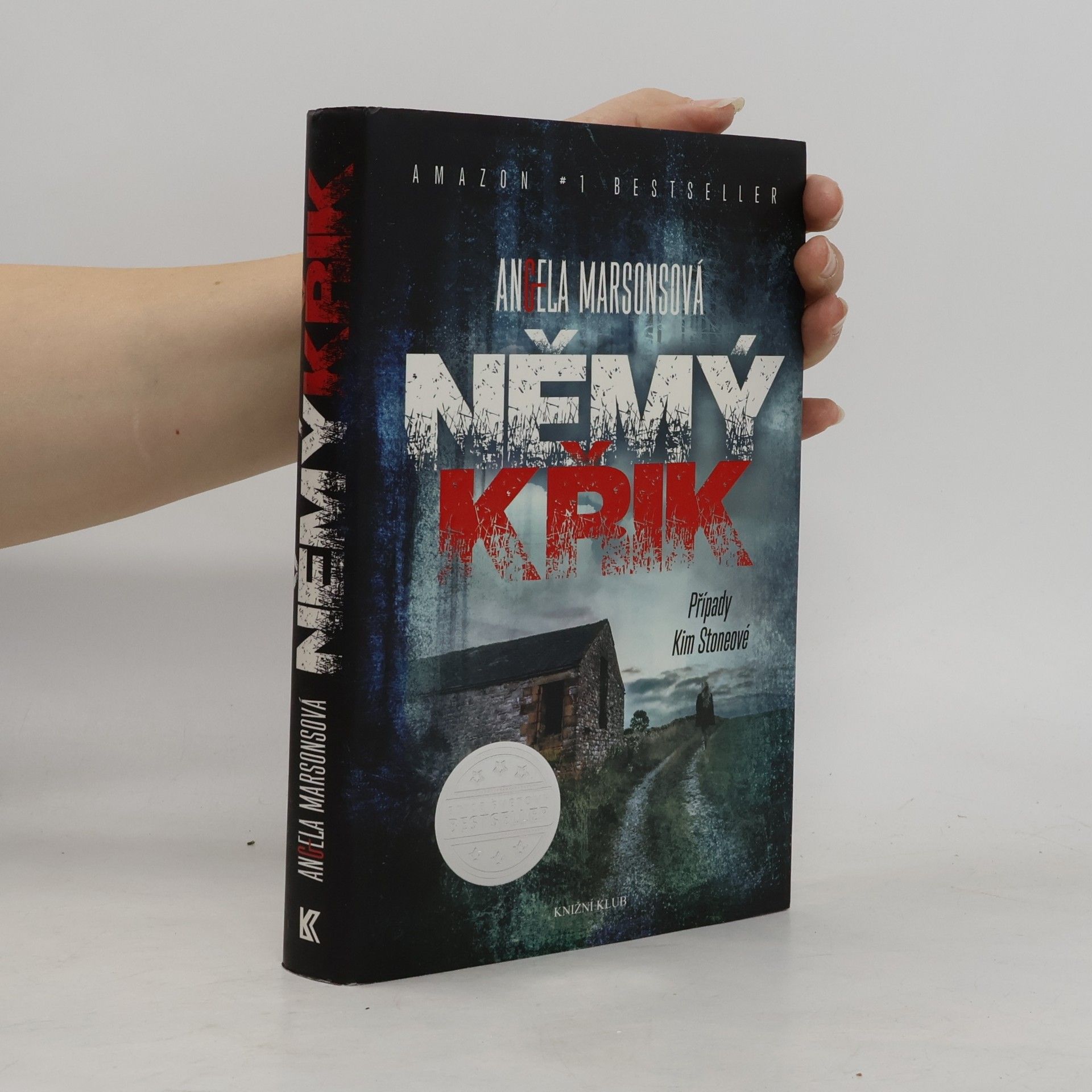 Angela Marsons Němý křik