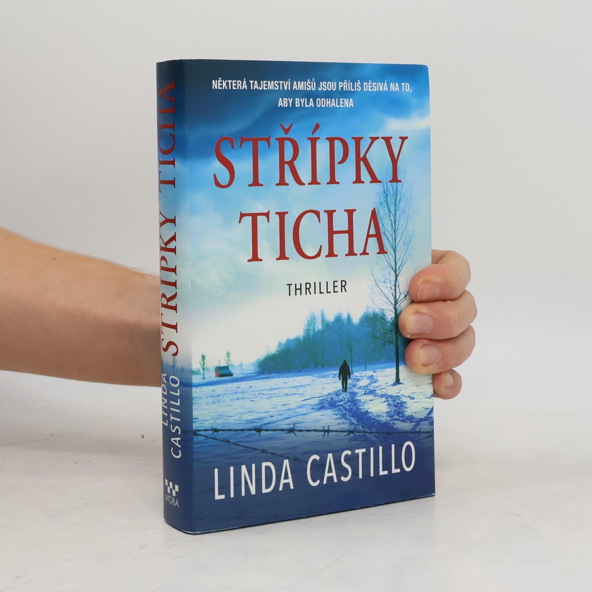 Linda Castillo Střípky ticha