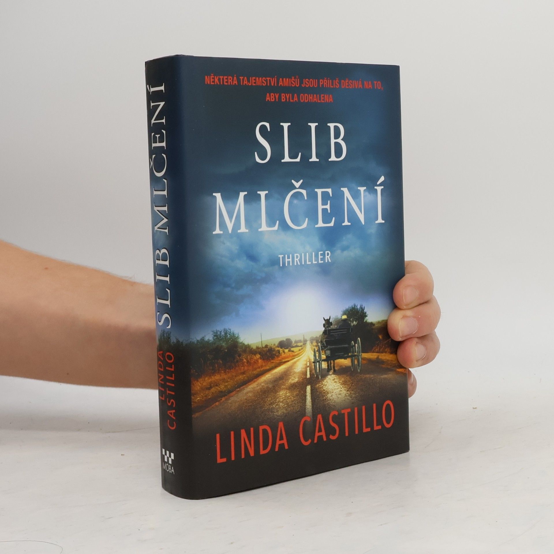 Slib mlčení