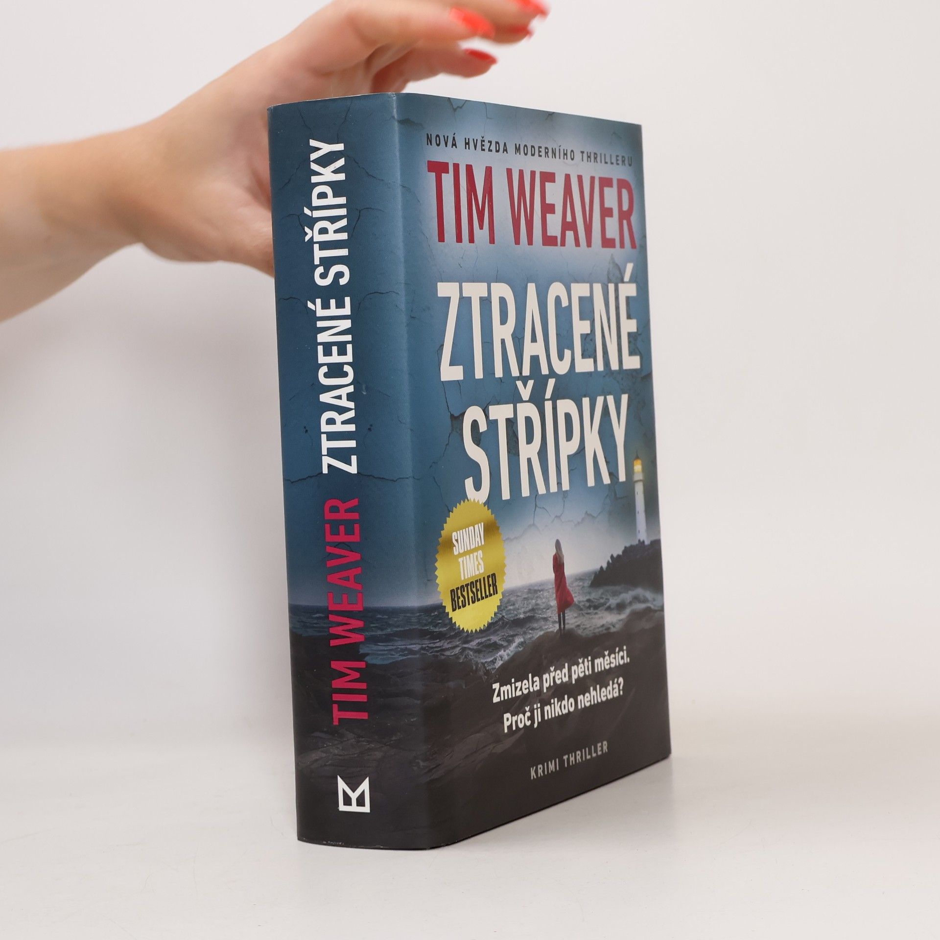 Tim Weaver Ztracené střípky