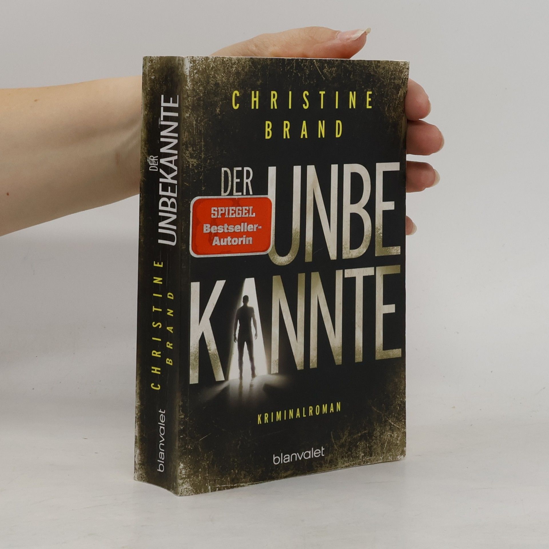Christine Brand Der Unbekannte