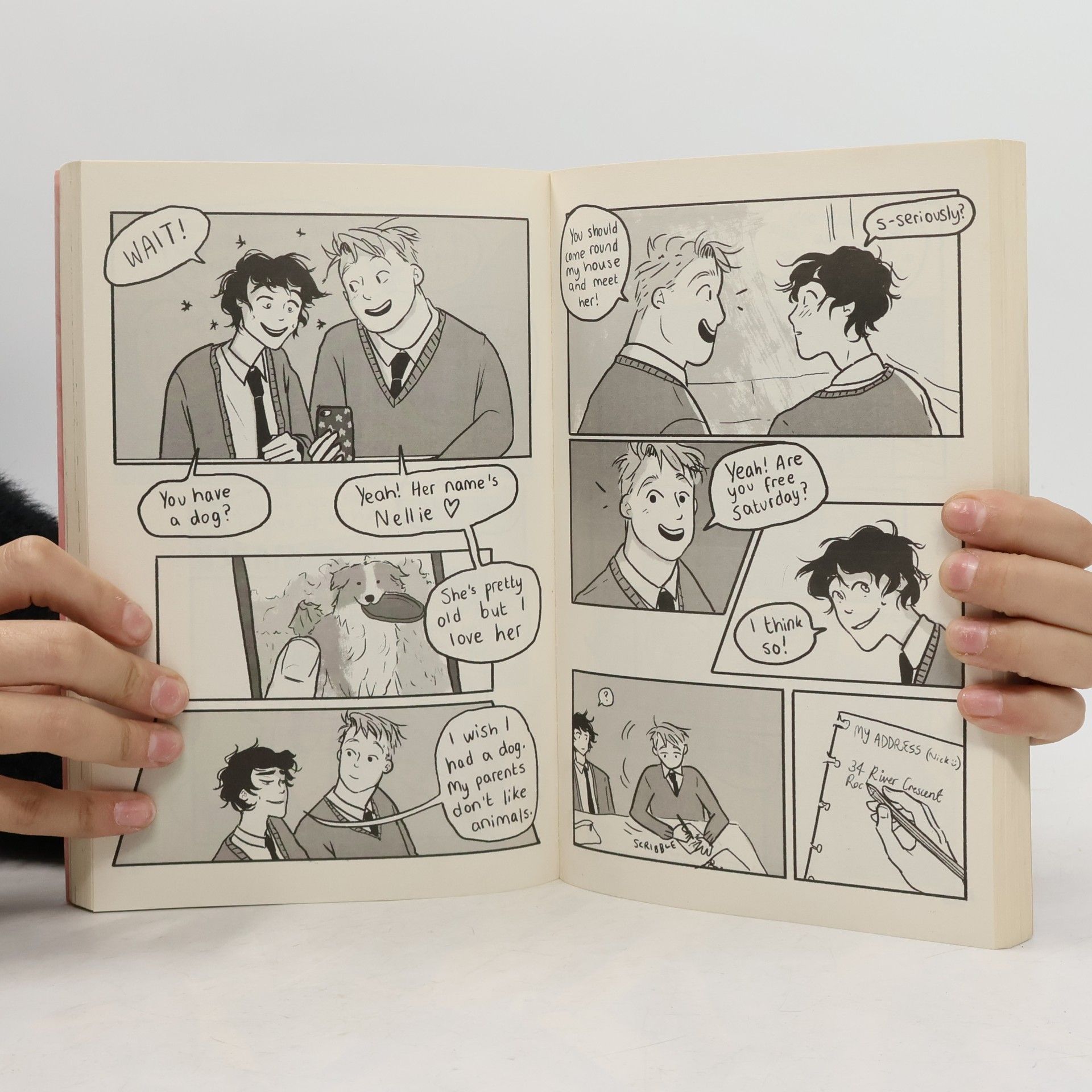 Alice Oseman Heartstopper. Volume 1
