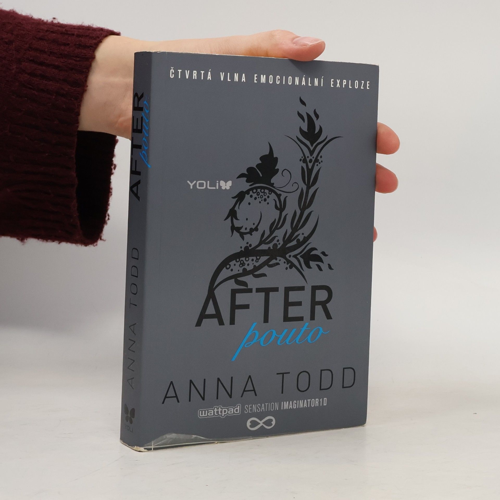 Anna Todd After. Pouto