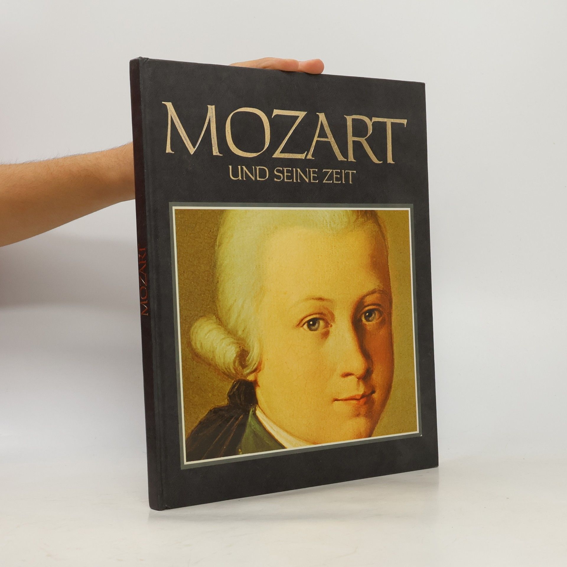Kolektív autorov Mozart und seine Zeit