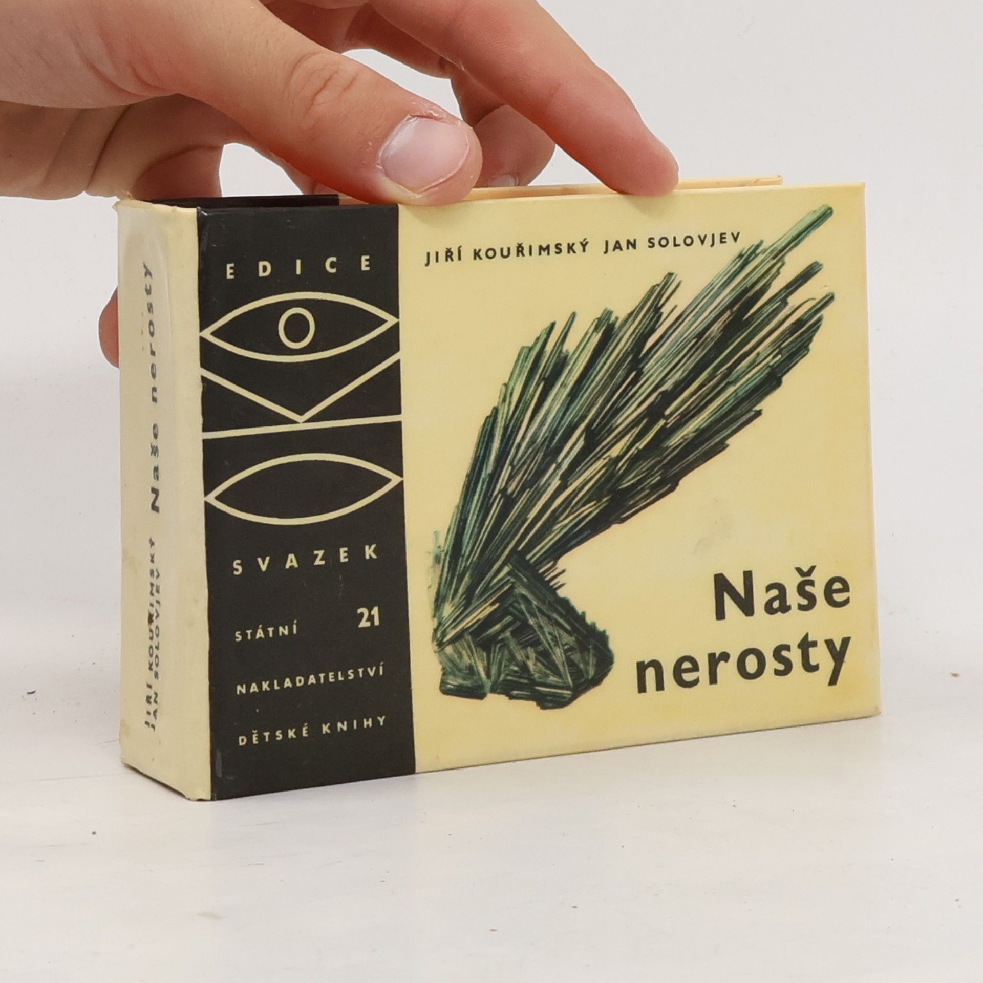 Jan Solovjev Naše nerosty
