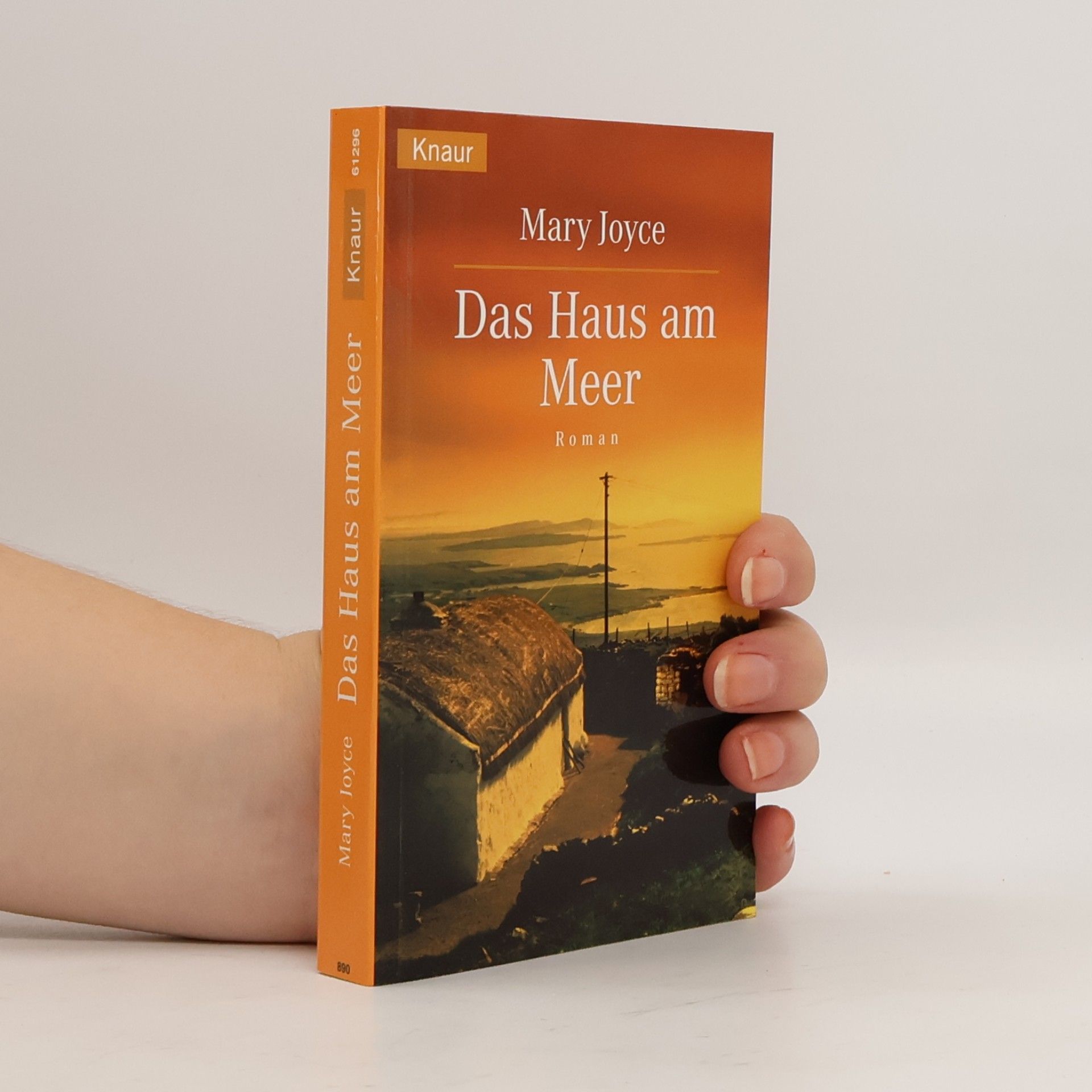 Mary Joyce Das Haus am Meer