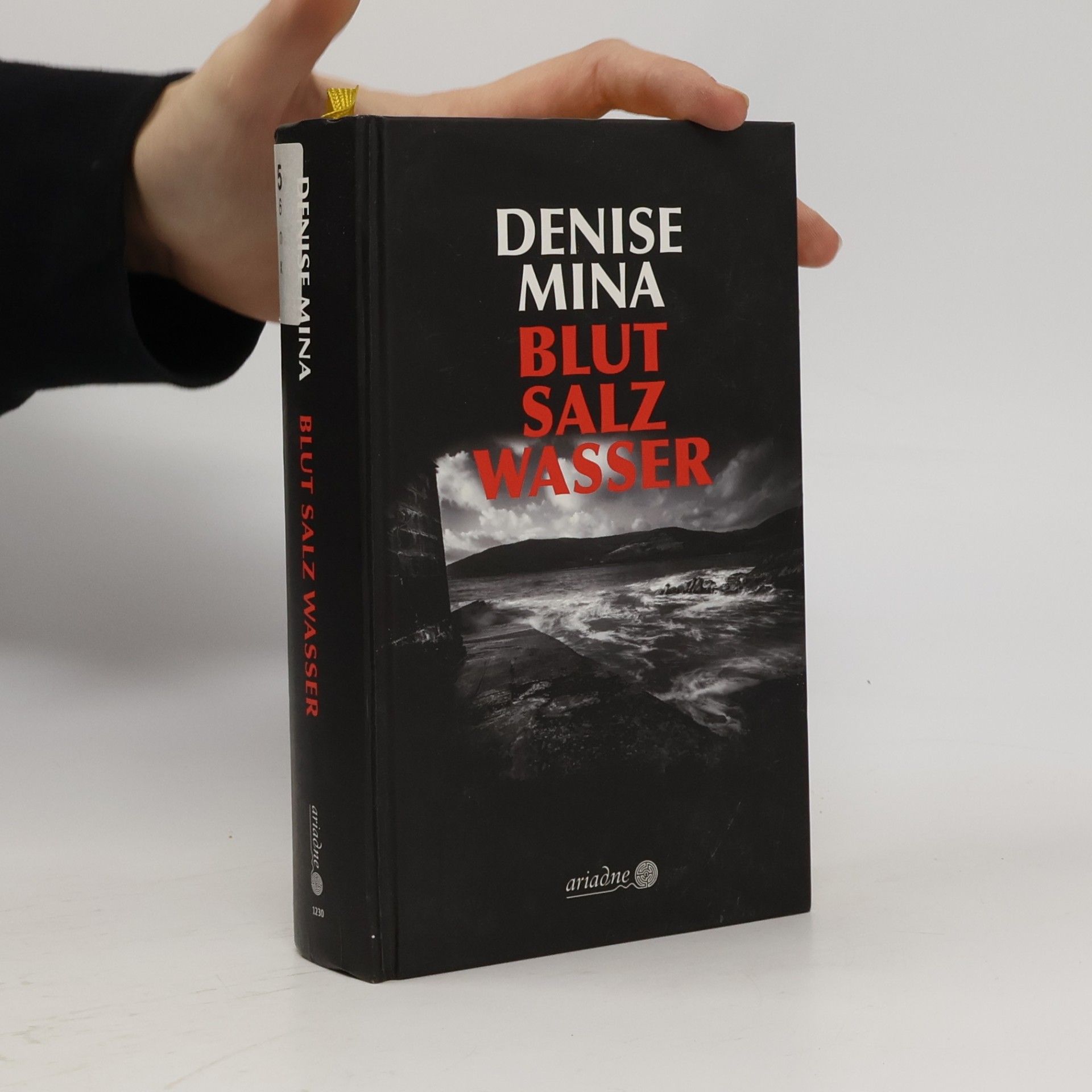 Denise Mina Blut - Salz - Wasser