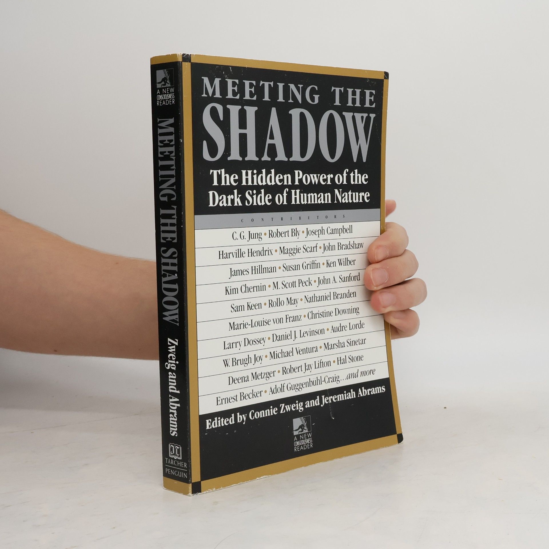 Connie Zweig Meeting the Shadow
