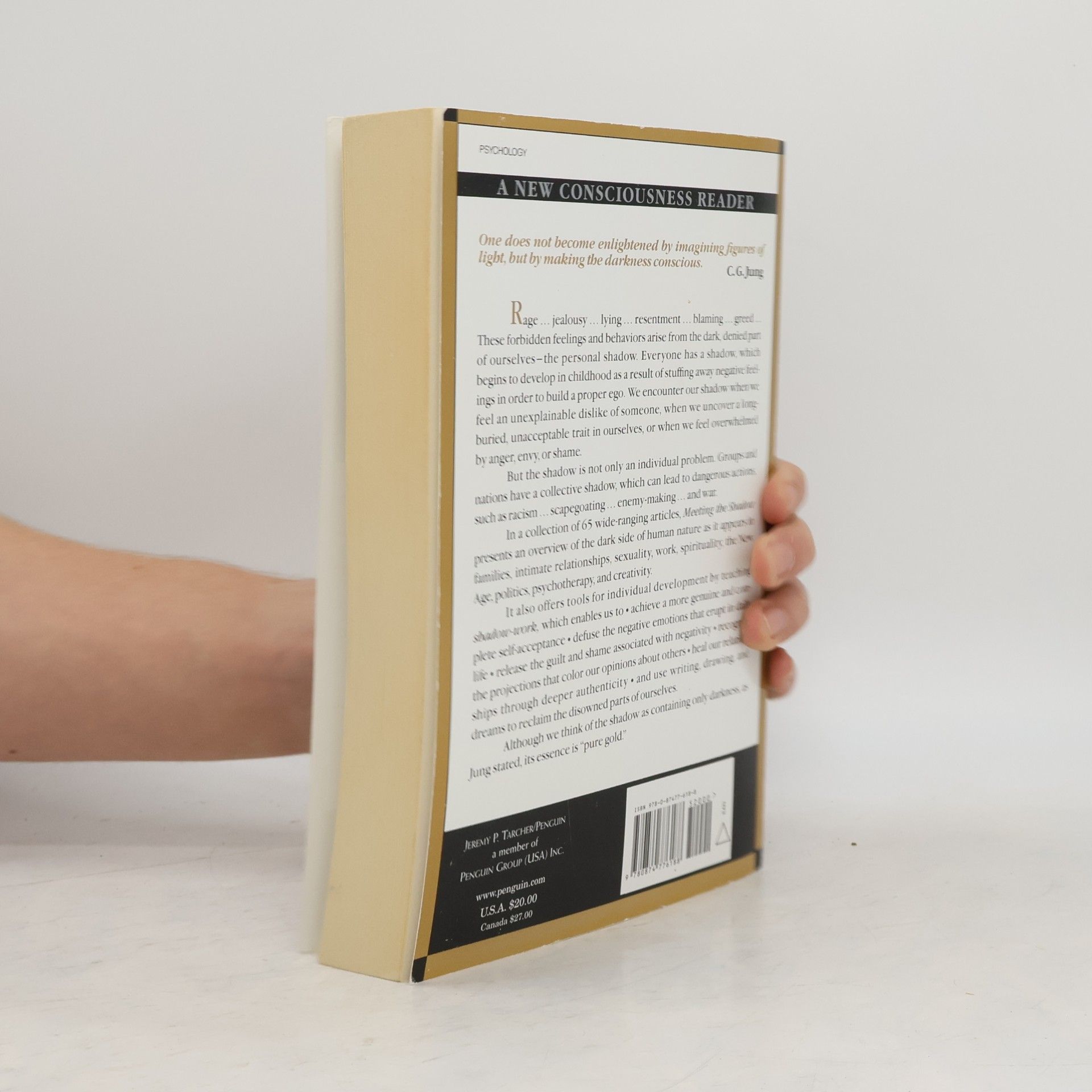 Connie Zweig Meeting the Shadow