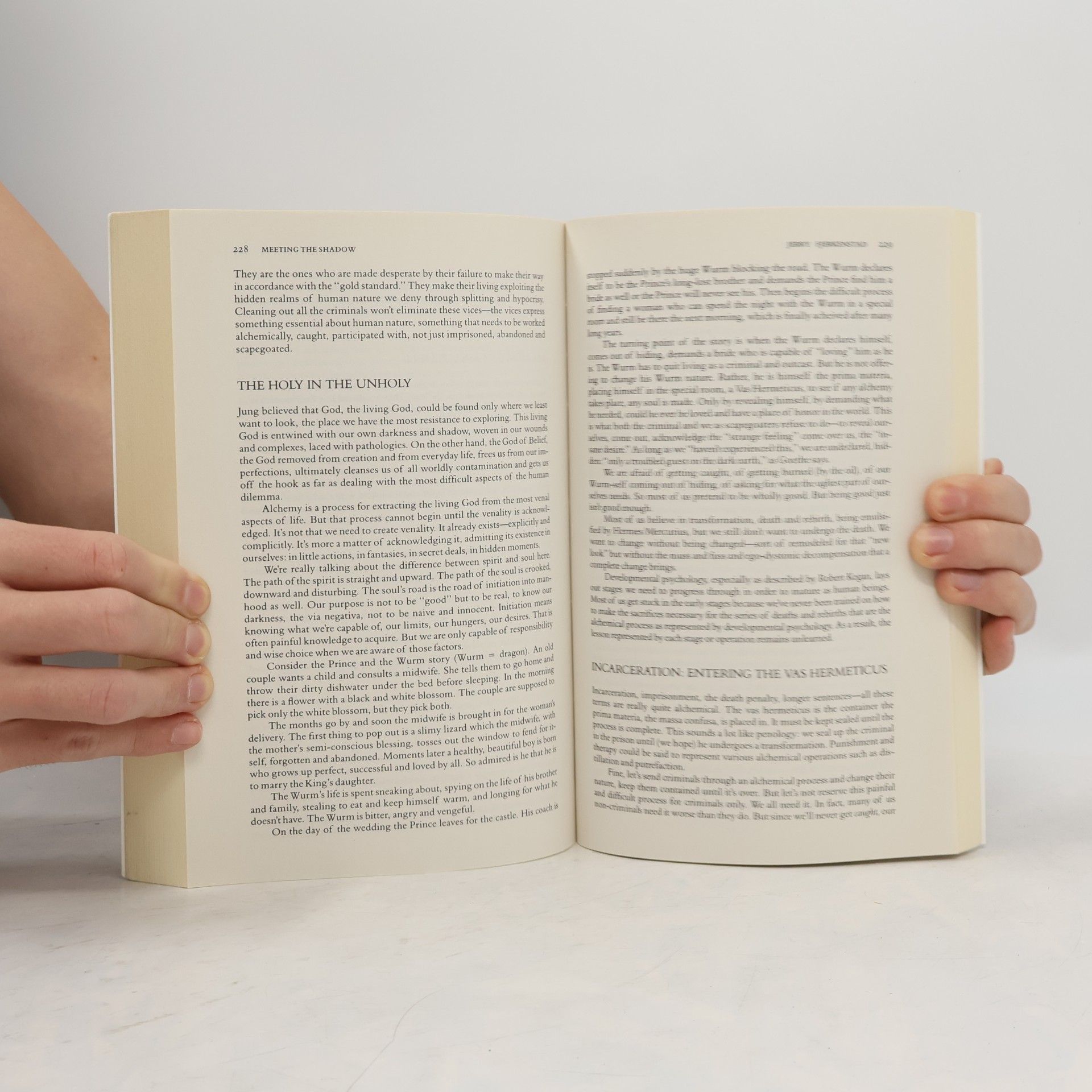 Connie Zweig Meeting the Shadow