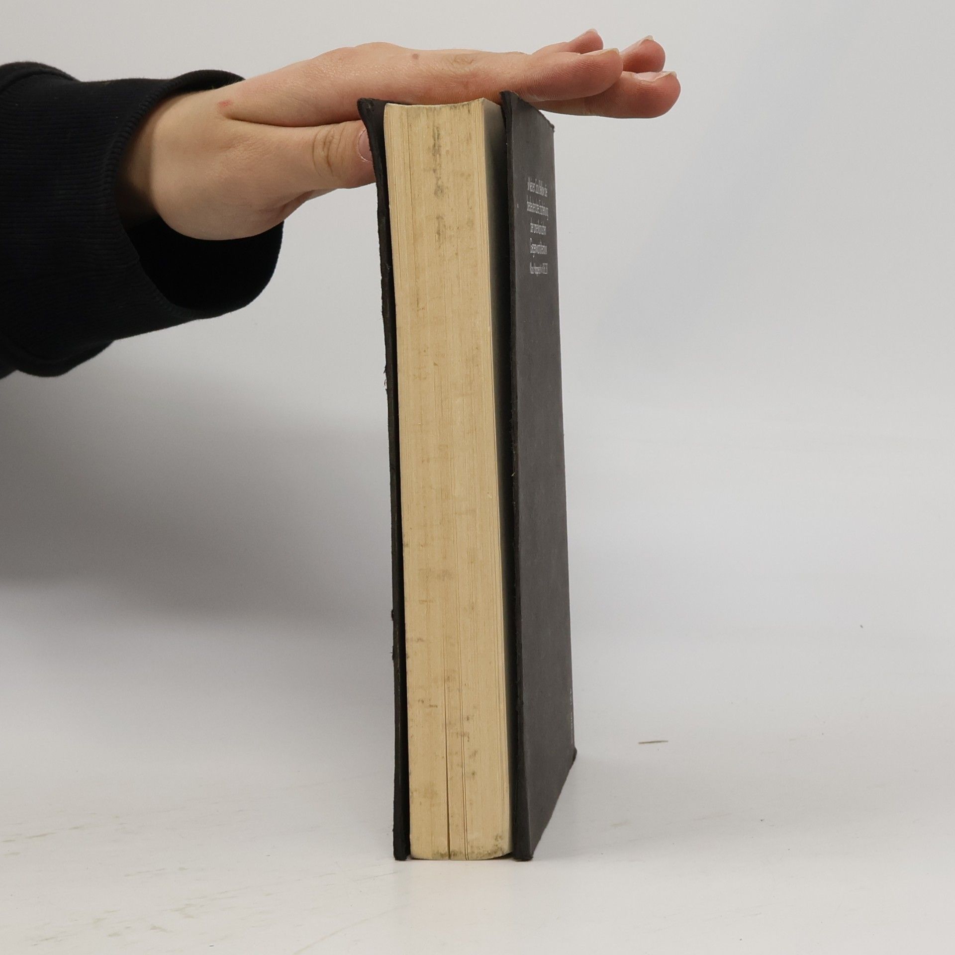 Joyce Carol Oates Grenzüberschreitungen