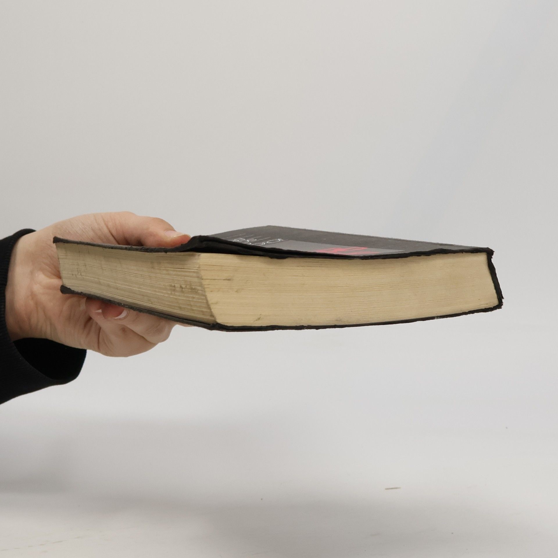 Joyce Carol Oates Grenzüberschreitungen
