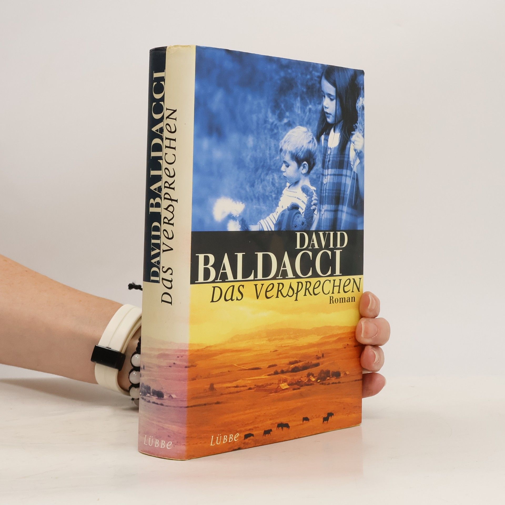 David Baldacci Das Versprechen