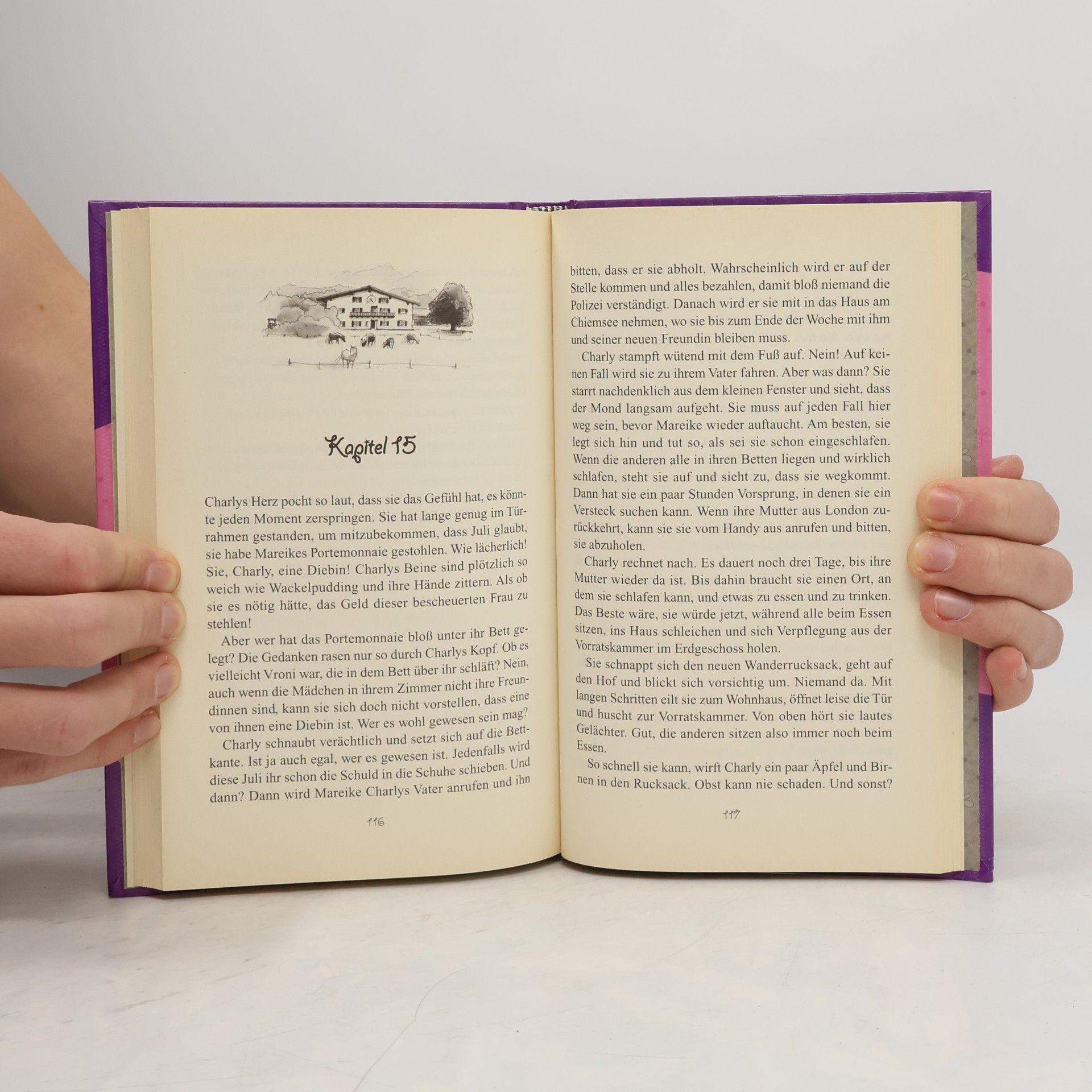 Andrea Wandel Ferien auf dem Sonnenhof 1