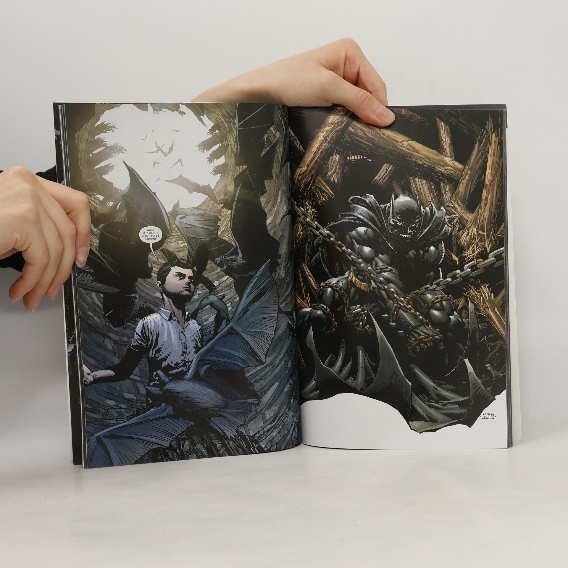 Gregg Andrew Hurwitz Batman The Dark Knight Vol. 2
