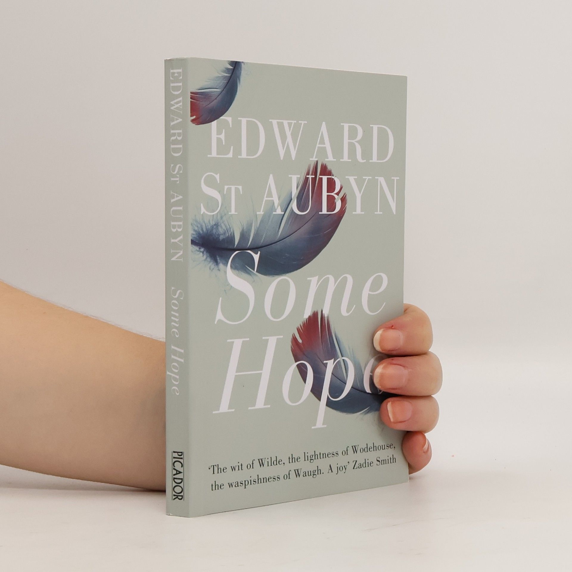 Edward St Aubyn Some Hope. Nette Aussichten, Englische Ausgabe