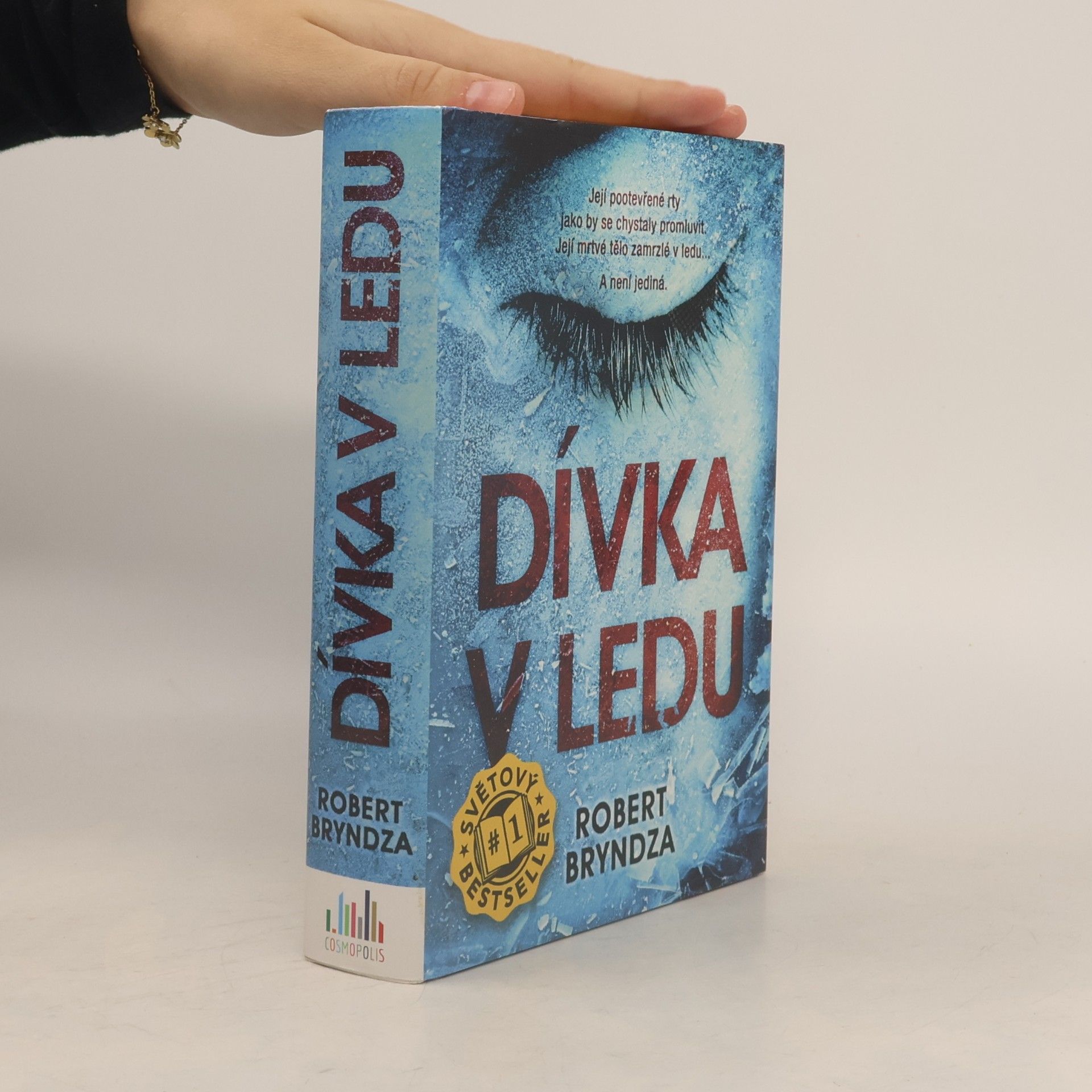 Robert Bryndza Dívka v ledu