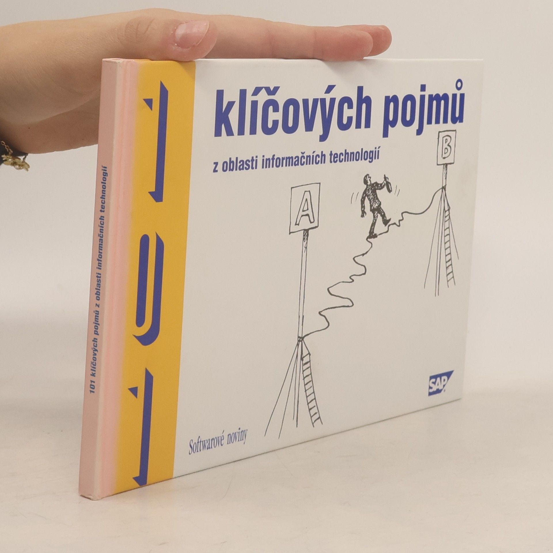 Michaela Škultéty 101 klíčových pojmů z oblasti informačních technologií