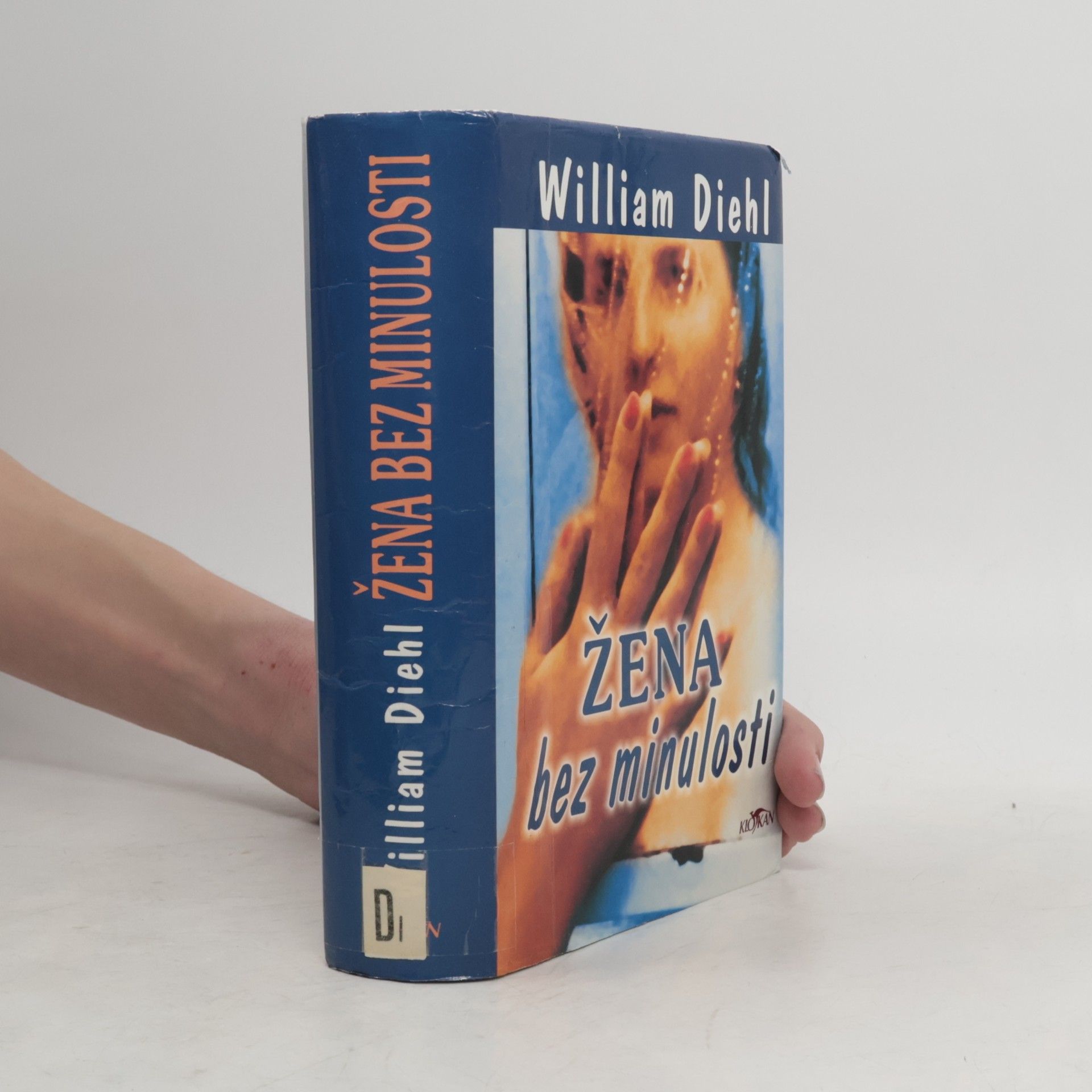 William Diehl Žena bez minulosti