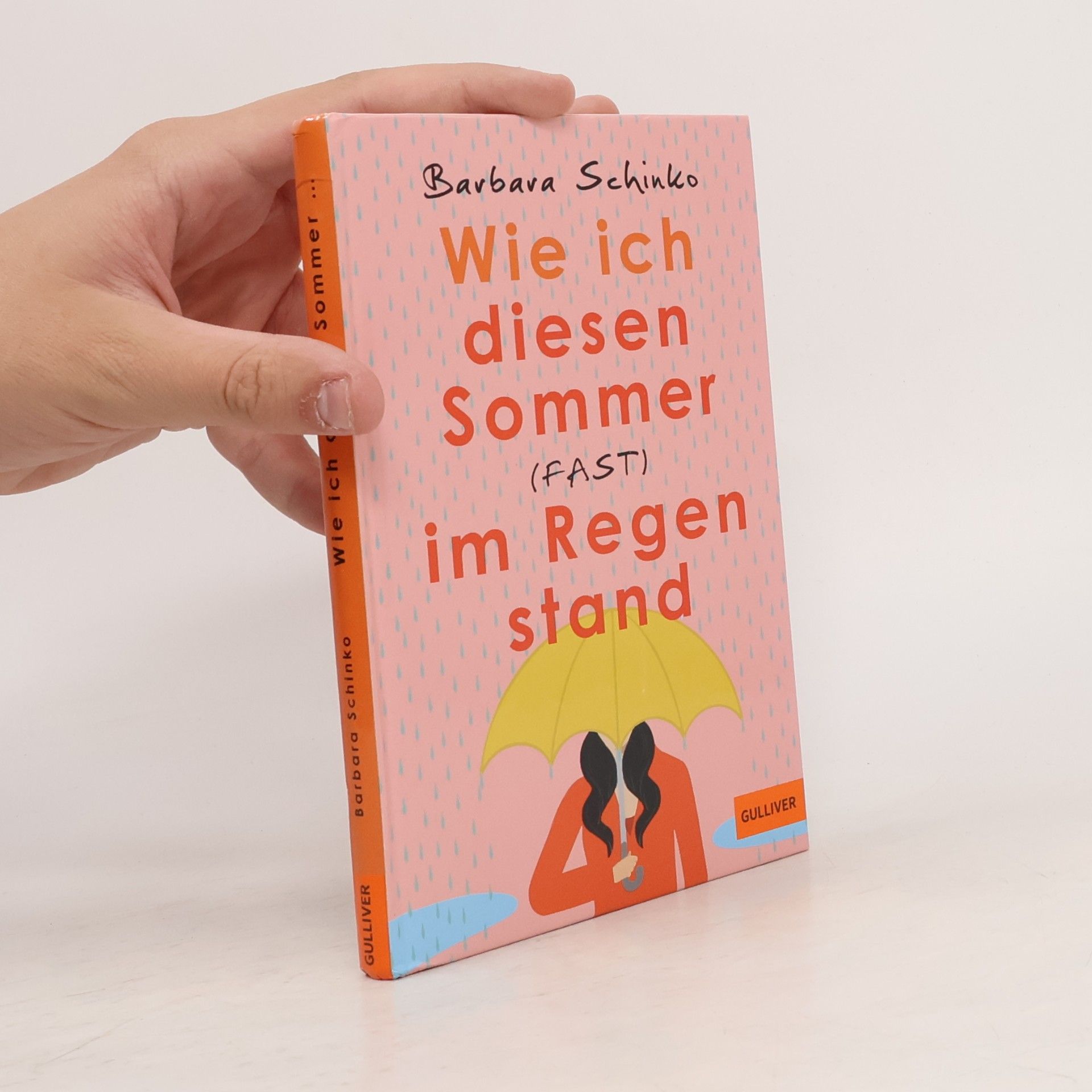 Barbara Schinko Wie ich diesen Sommer (fast) im Regen stand