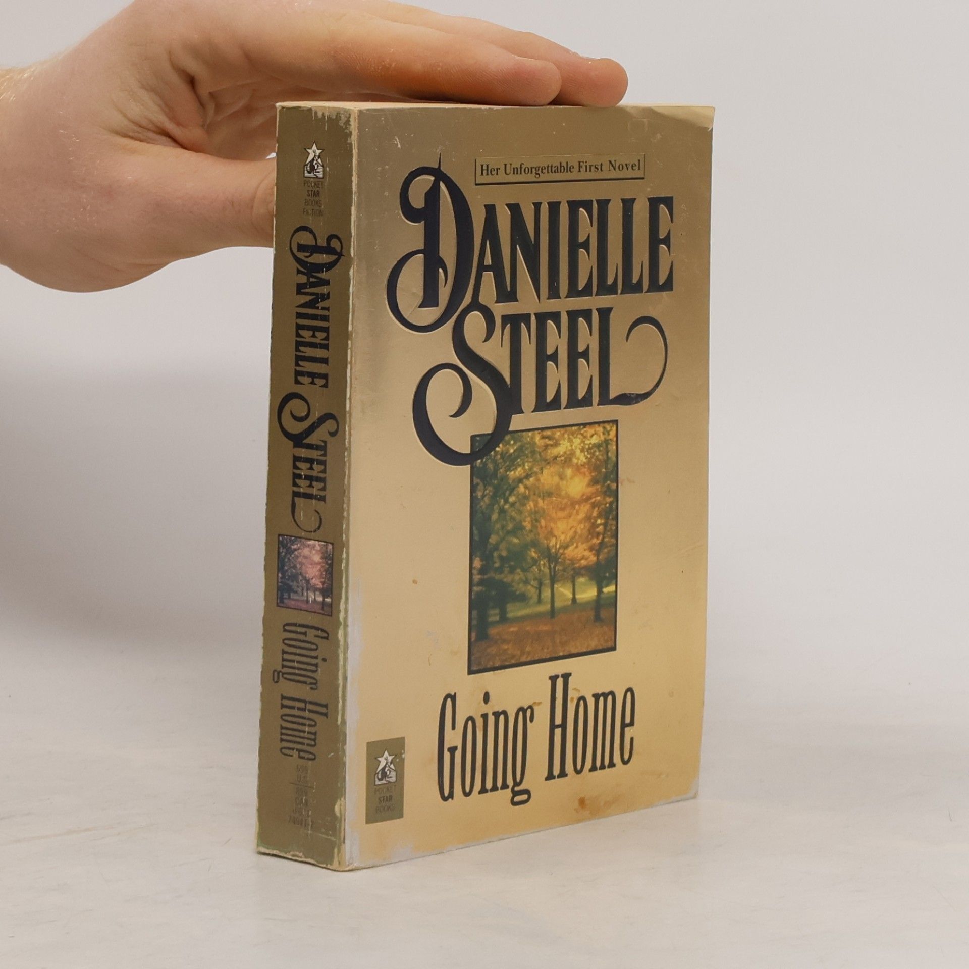 Danielle Steel Going home