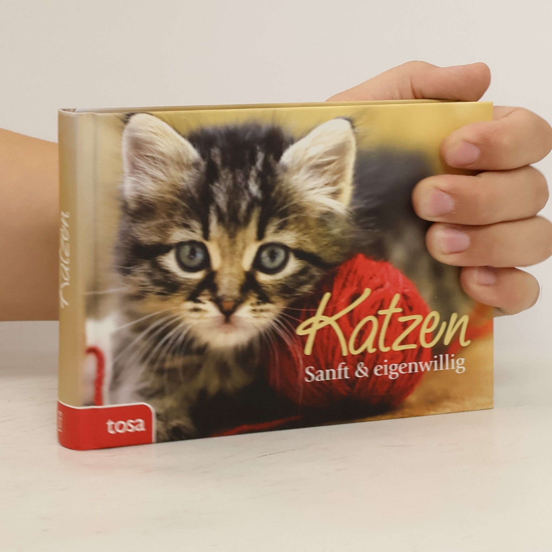 Kolektív autorov Katzen