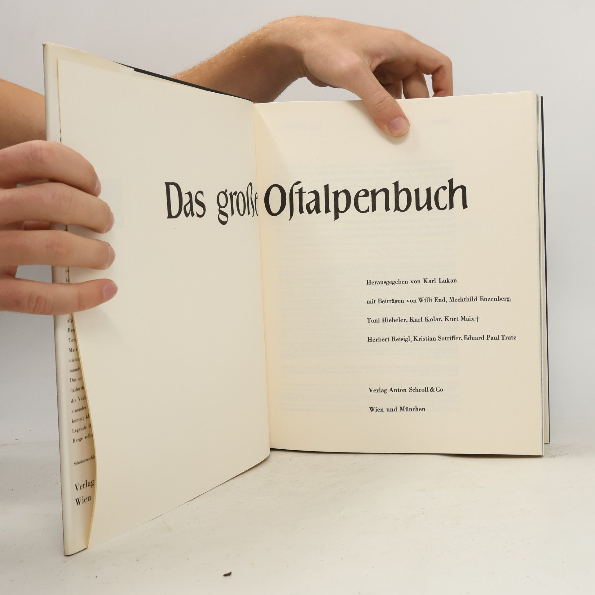 Autorenkollektiv Das große Ostalpenbuch