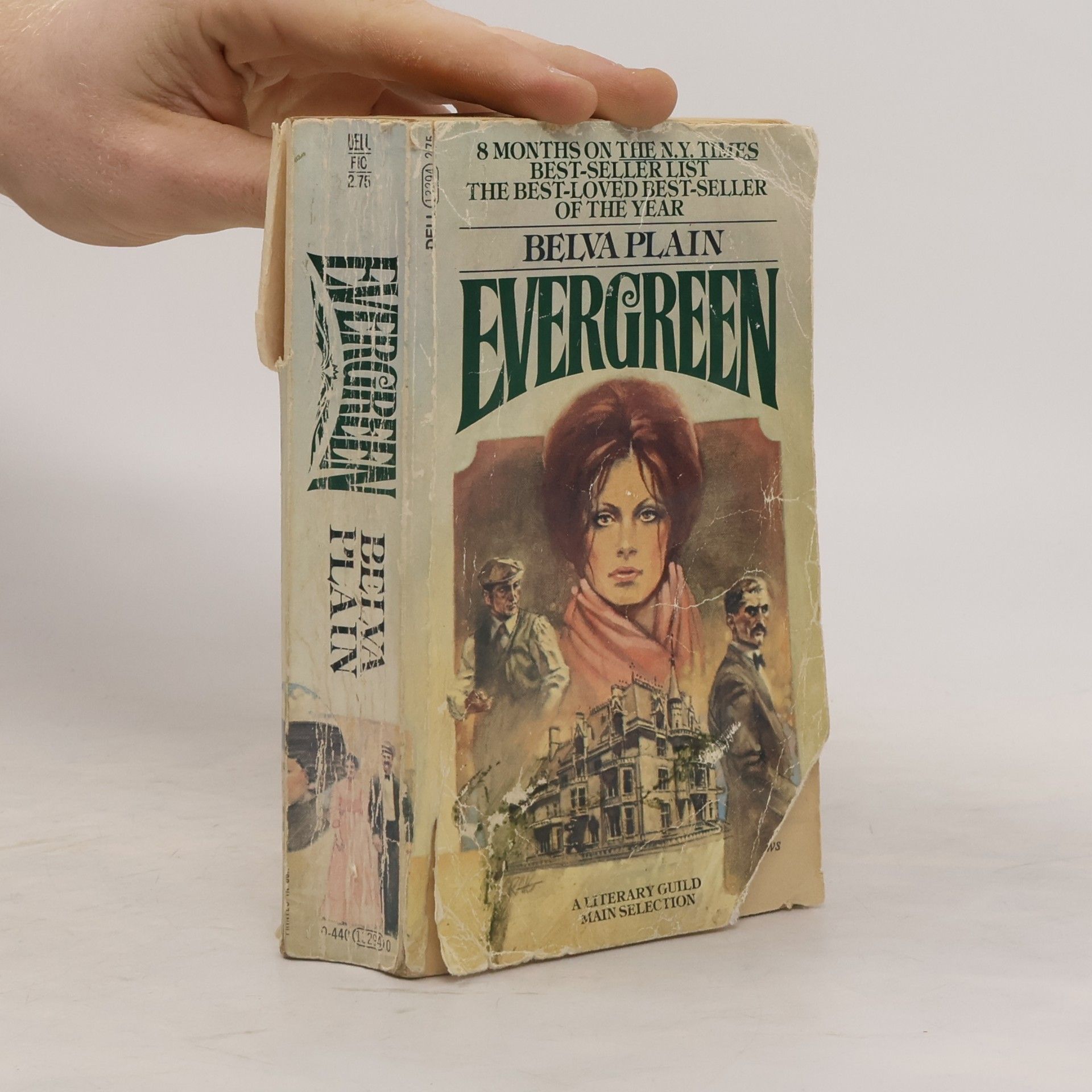 Belva Plain Evergreen