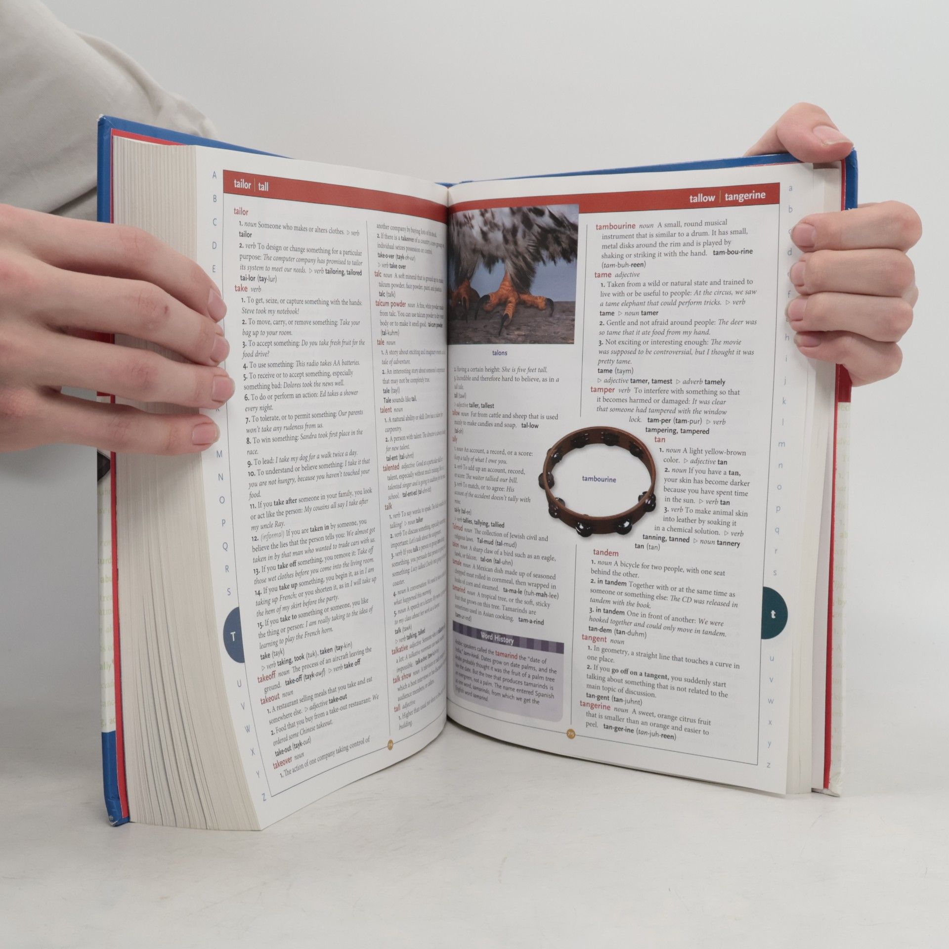 Autorenkollektiv Scholastic Children's Dictionary