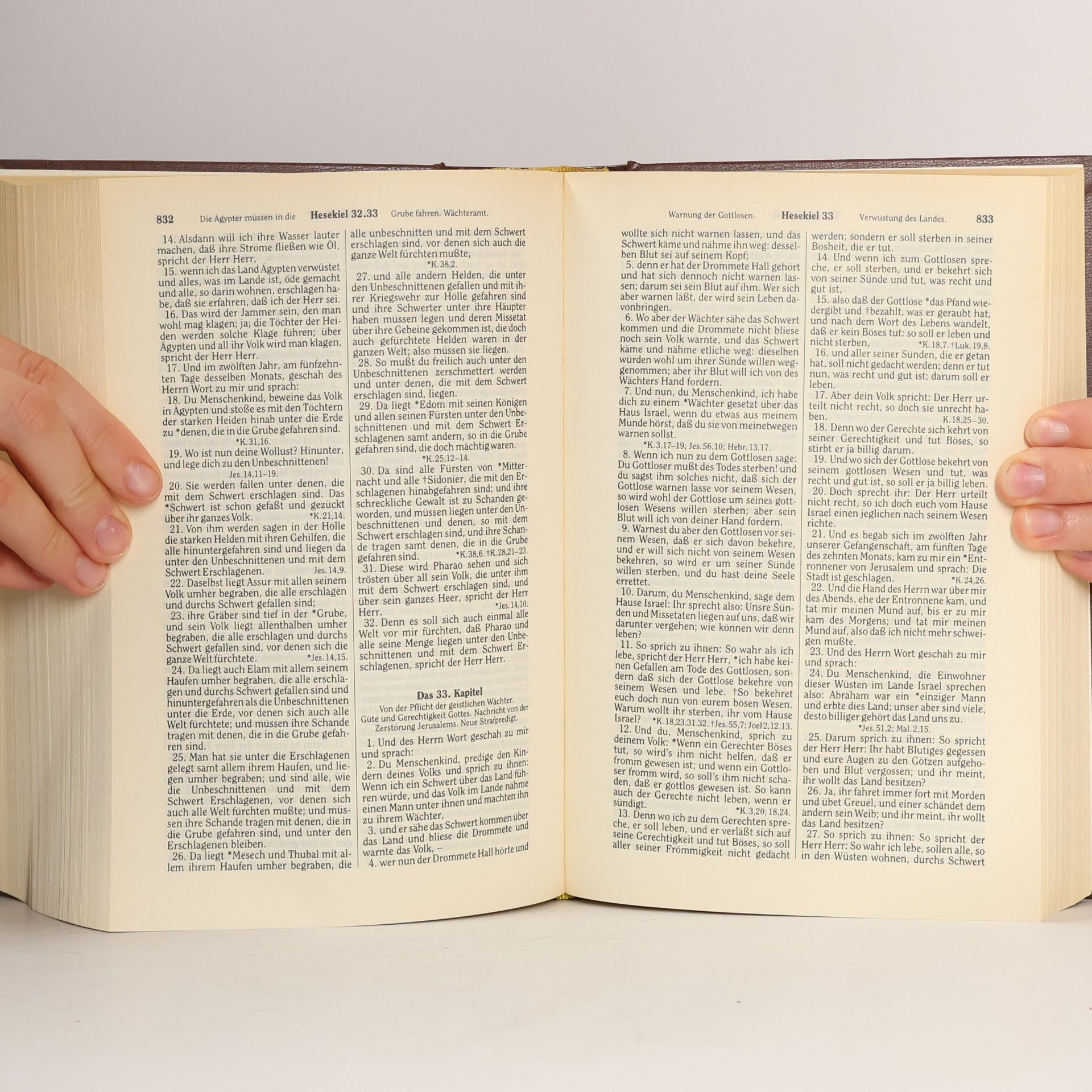 D. Martin Luthers Die Bibel