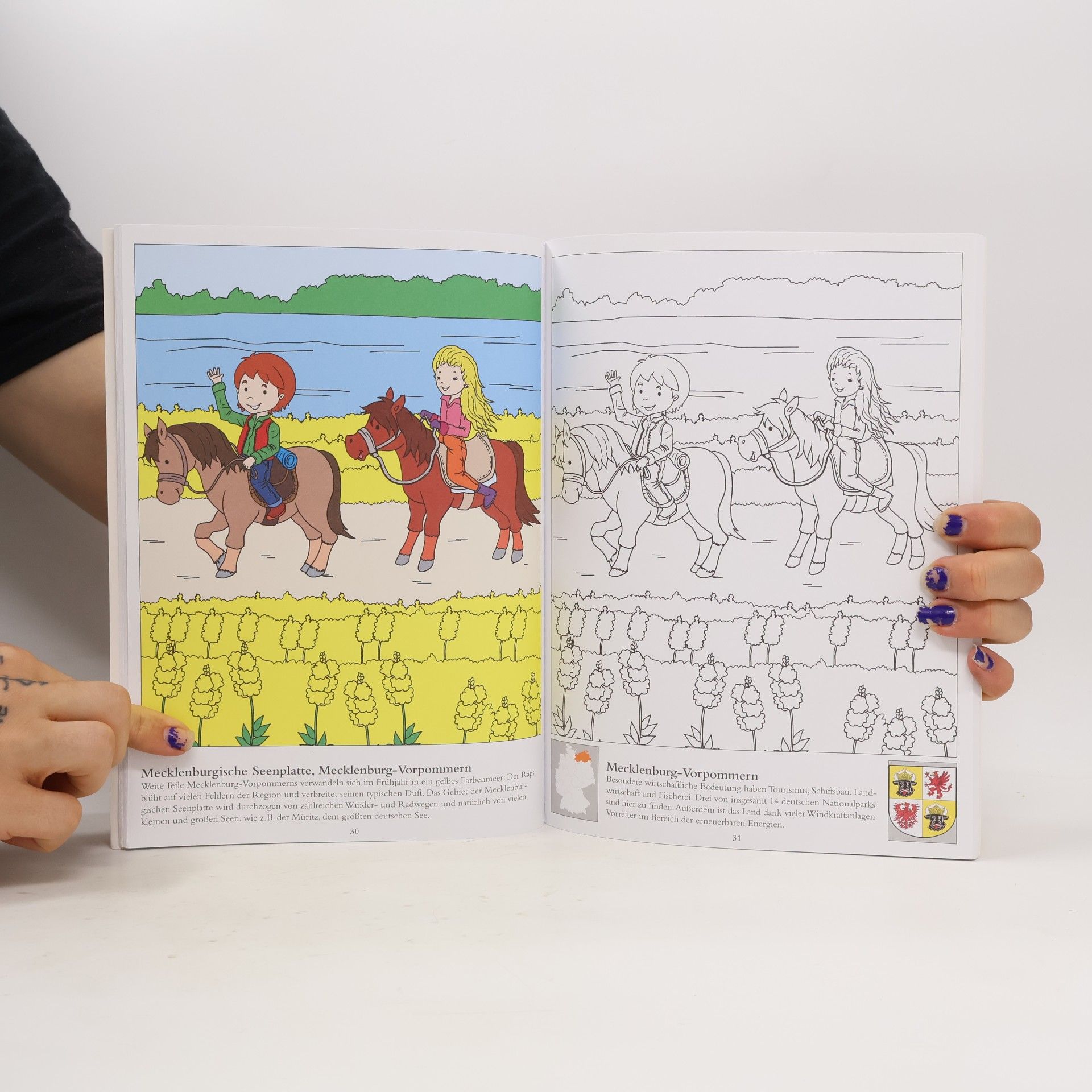 Das große Deutschlandmalbuch