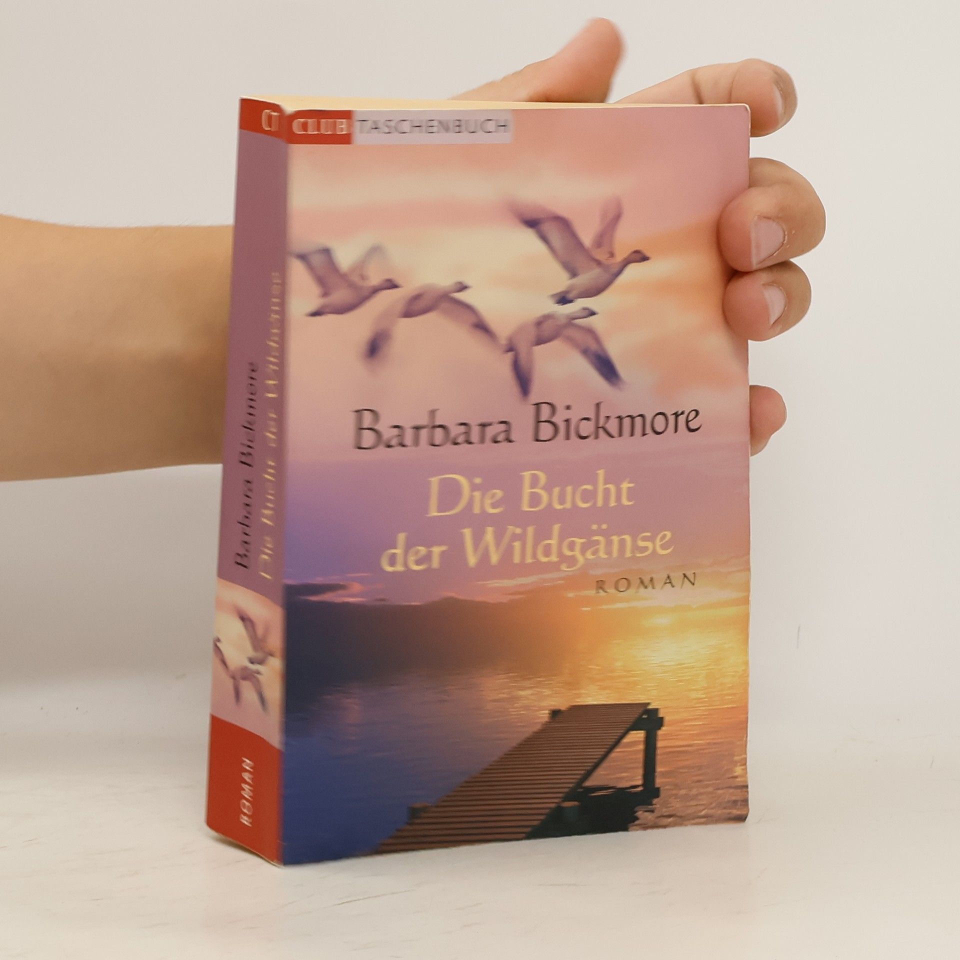 Barbara Bickmore Die Bucht der Wildgänse