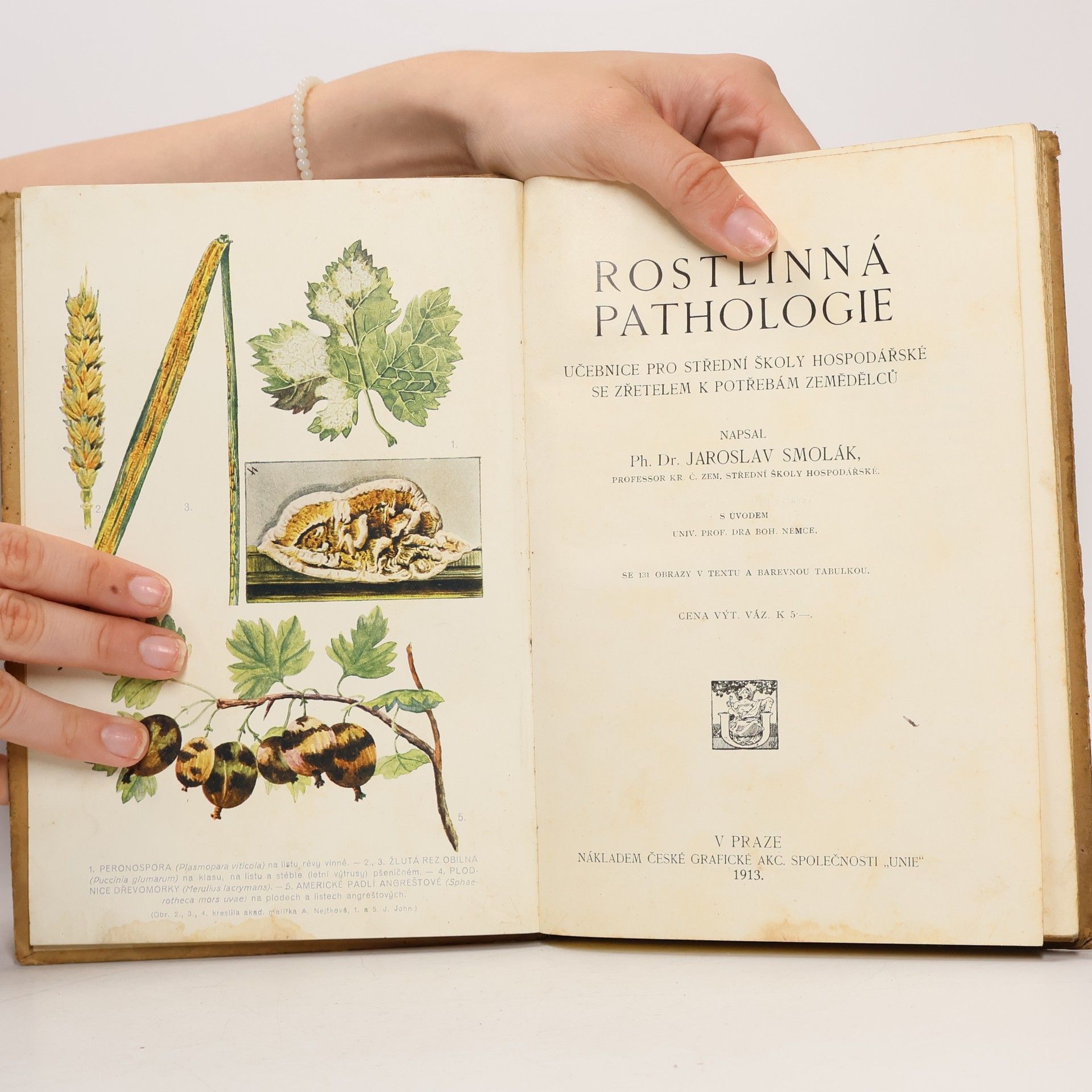 Ph. Dr. Jaroslav Smolák Rostlinná pathologie