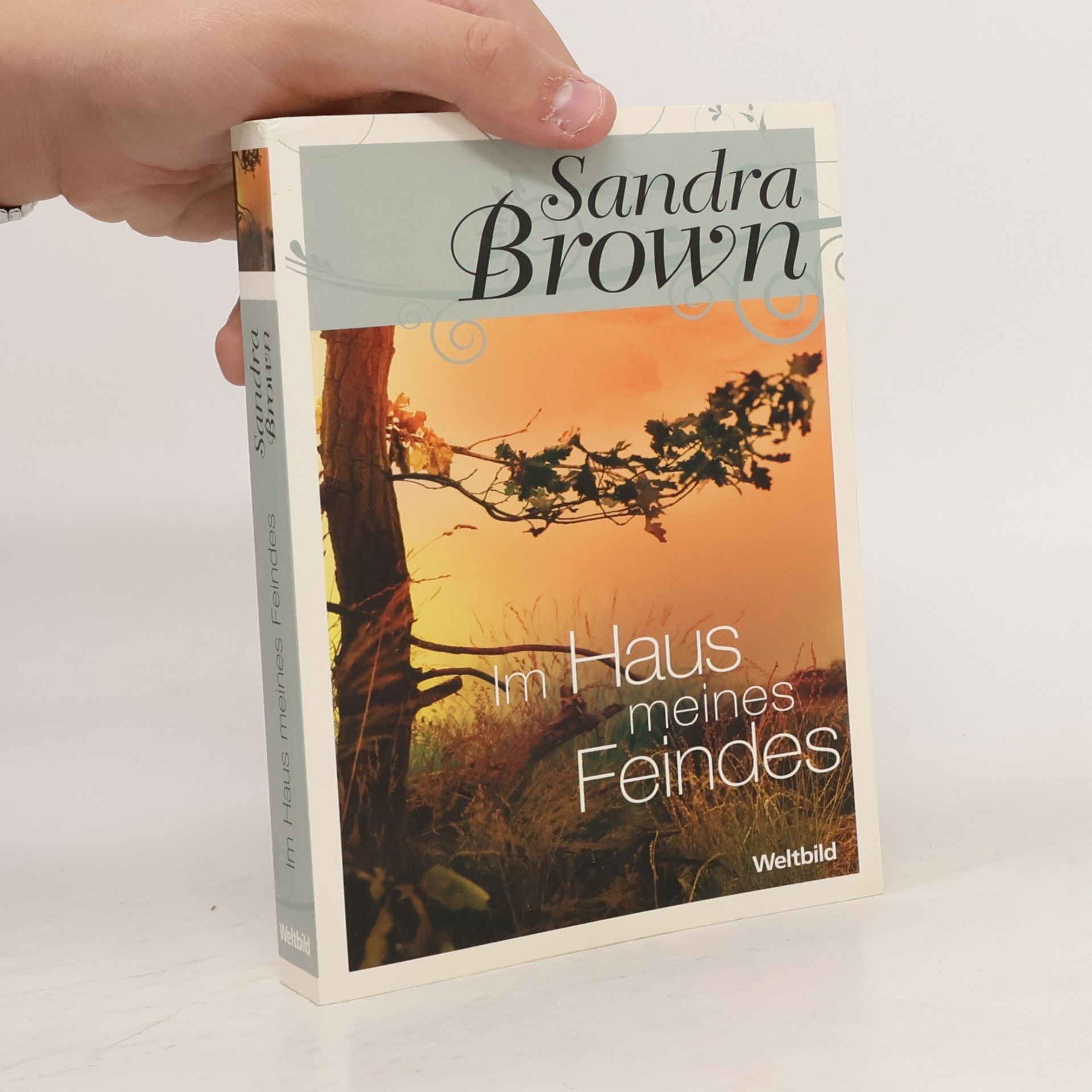 Sandra Brown Im Haus meines Feindes