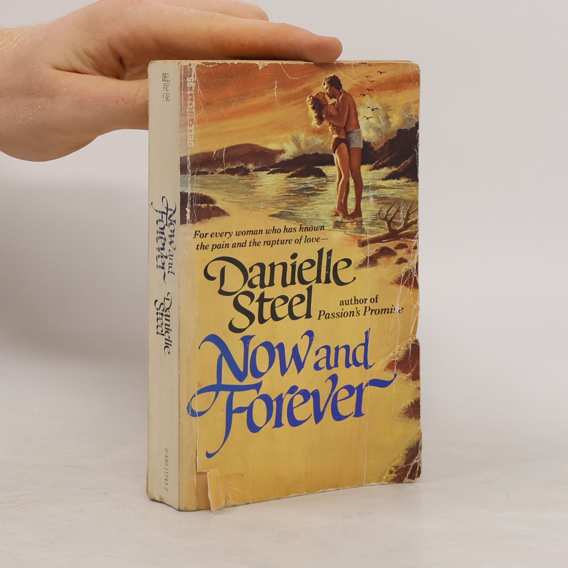 Danielle Steel Now and Forever