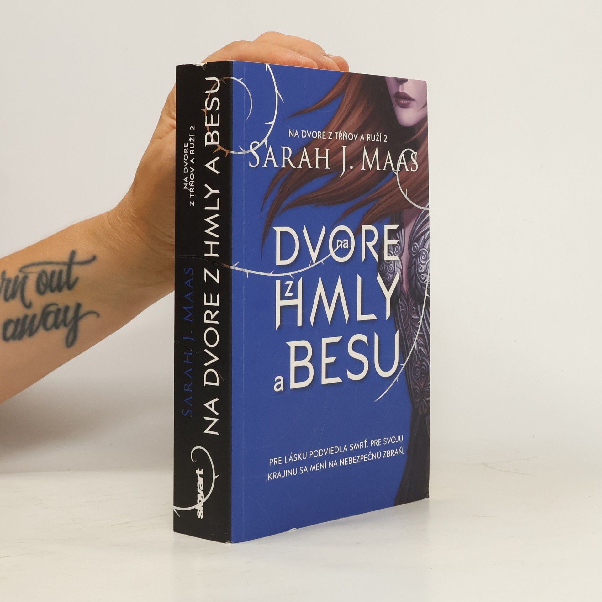 Sarah J. Maas Na dvore z hmly a besu