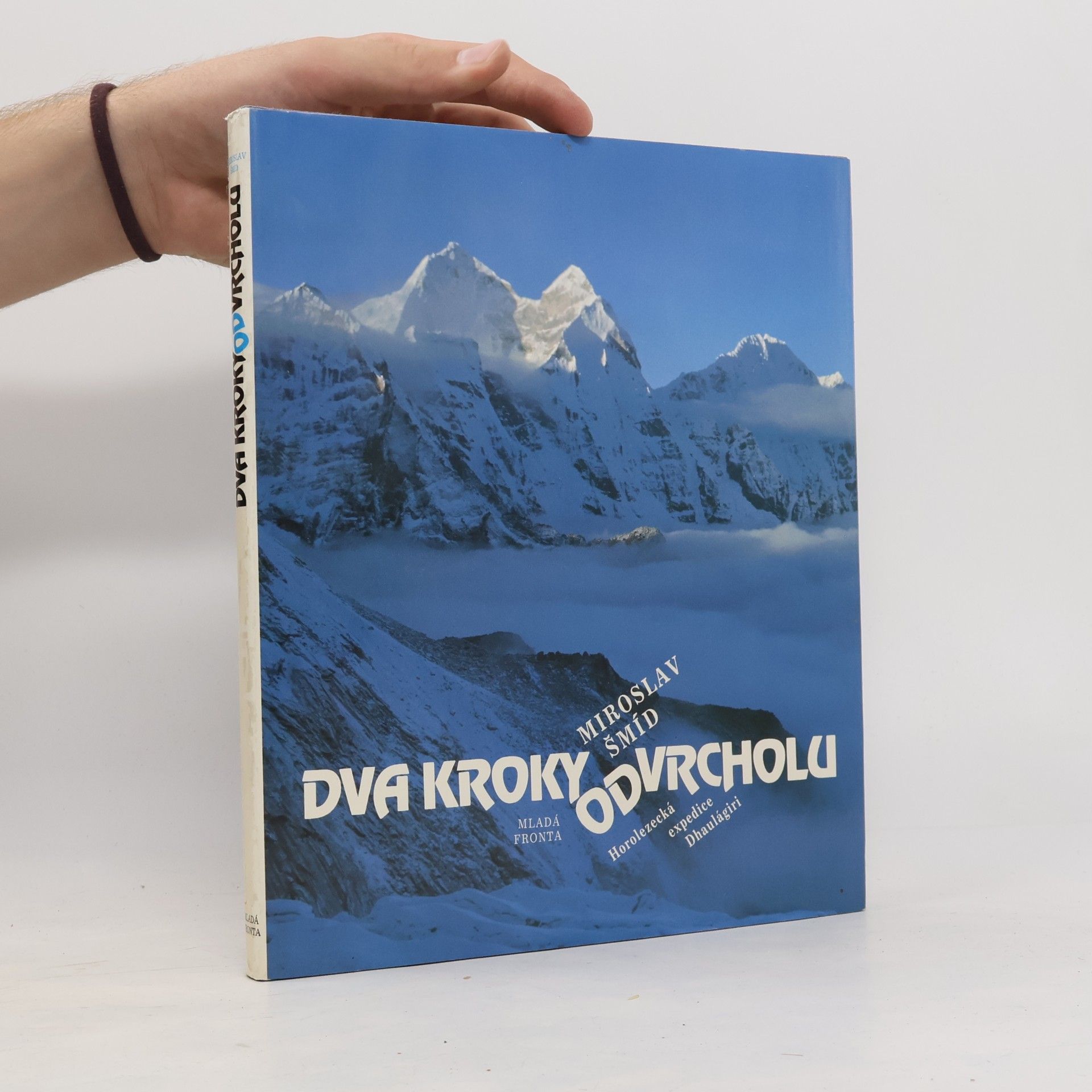 Miroslav Šmíd Dva kroky od vrcholu