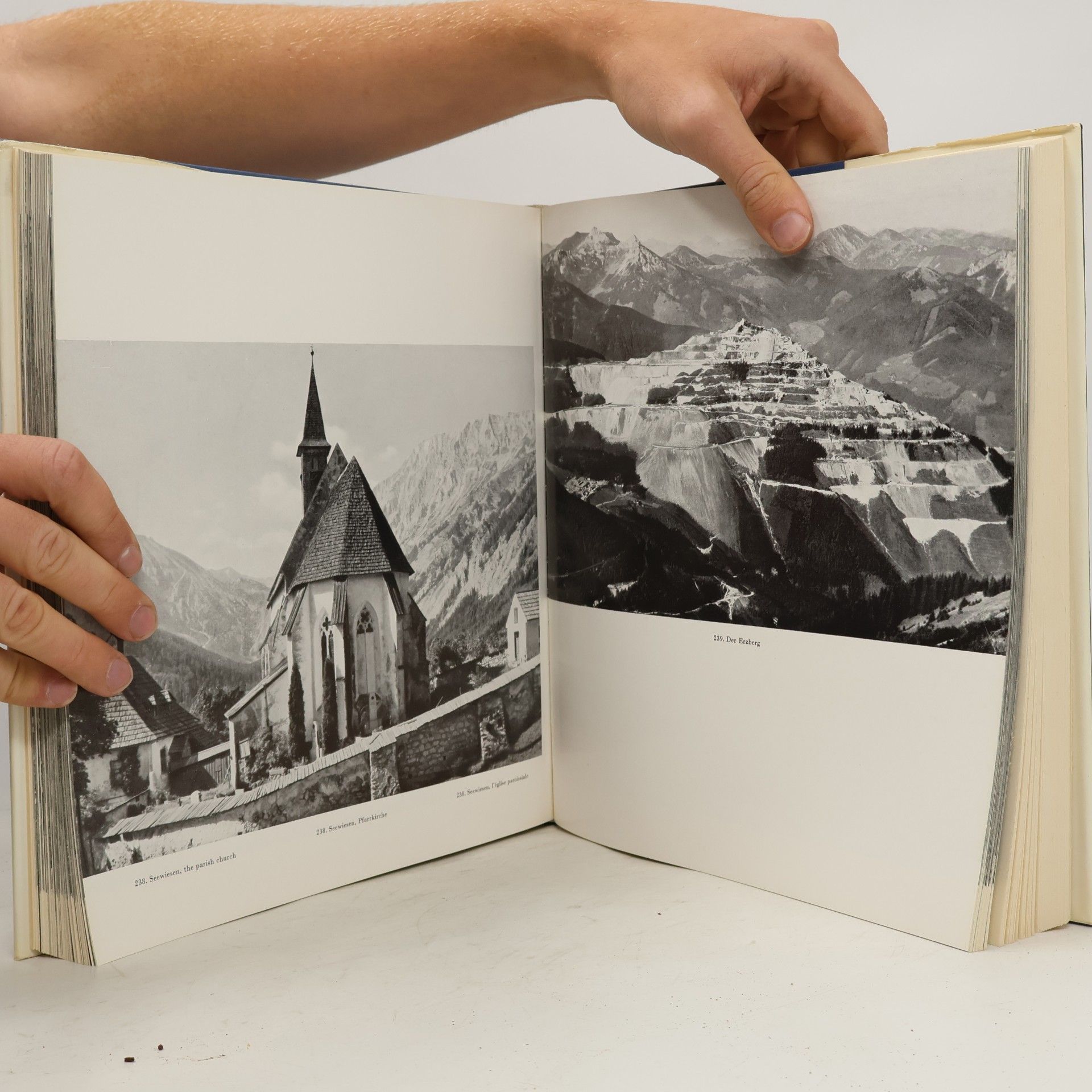 Viktor Griessmaier Österreich. Landschaft und Kunst