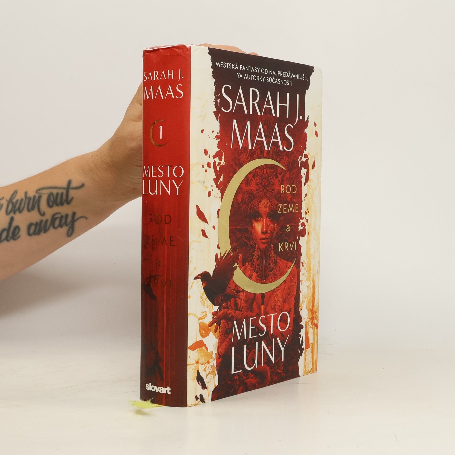 Sarah J. Maas Rod zeme a krvi