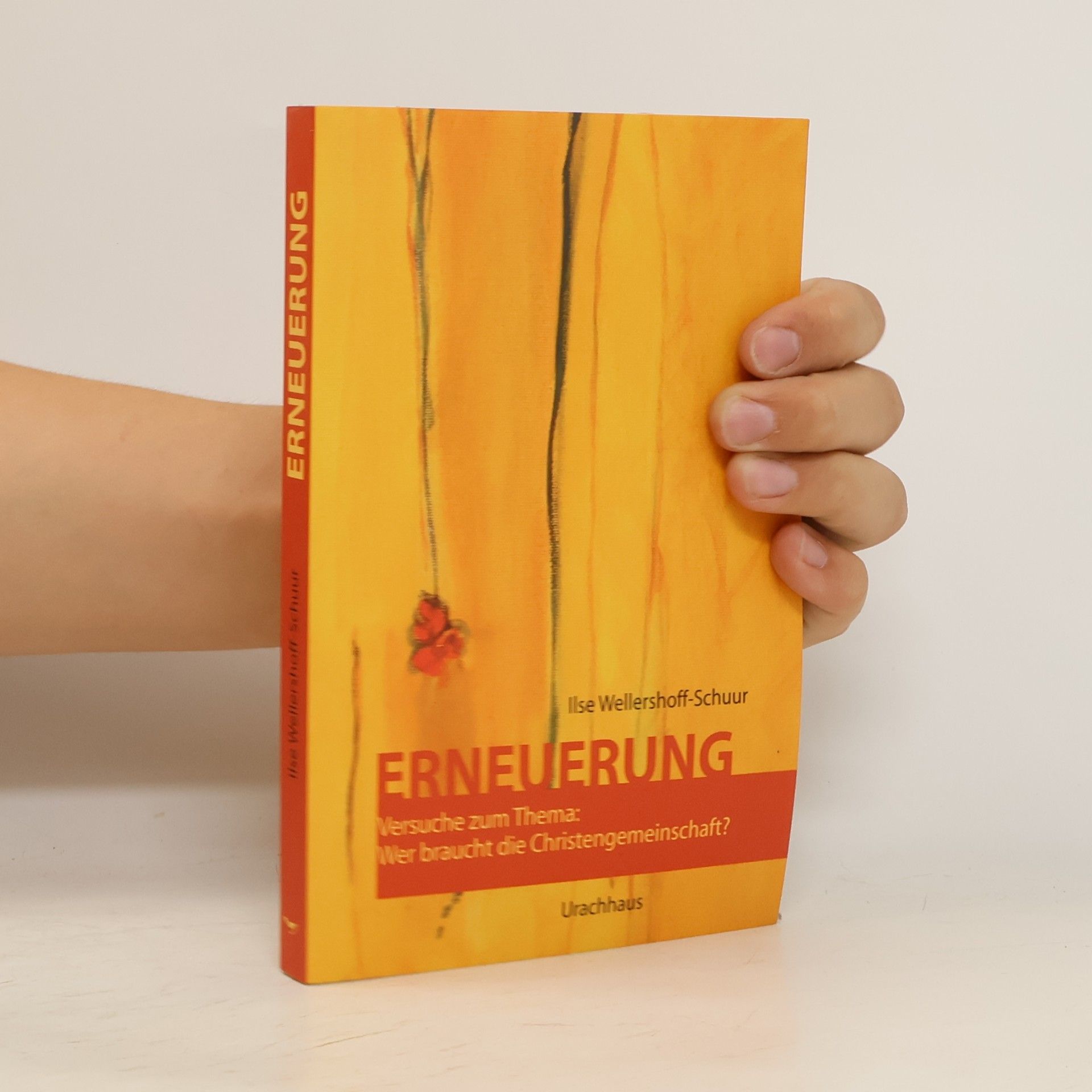 Ilse Wellershoff-Schuur Erneuerung