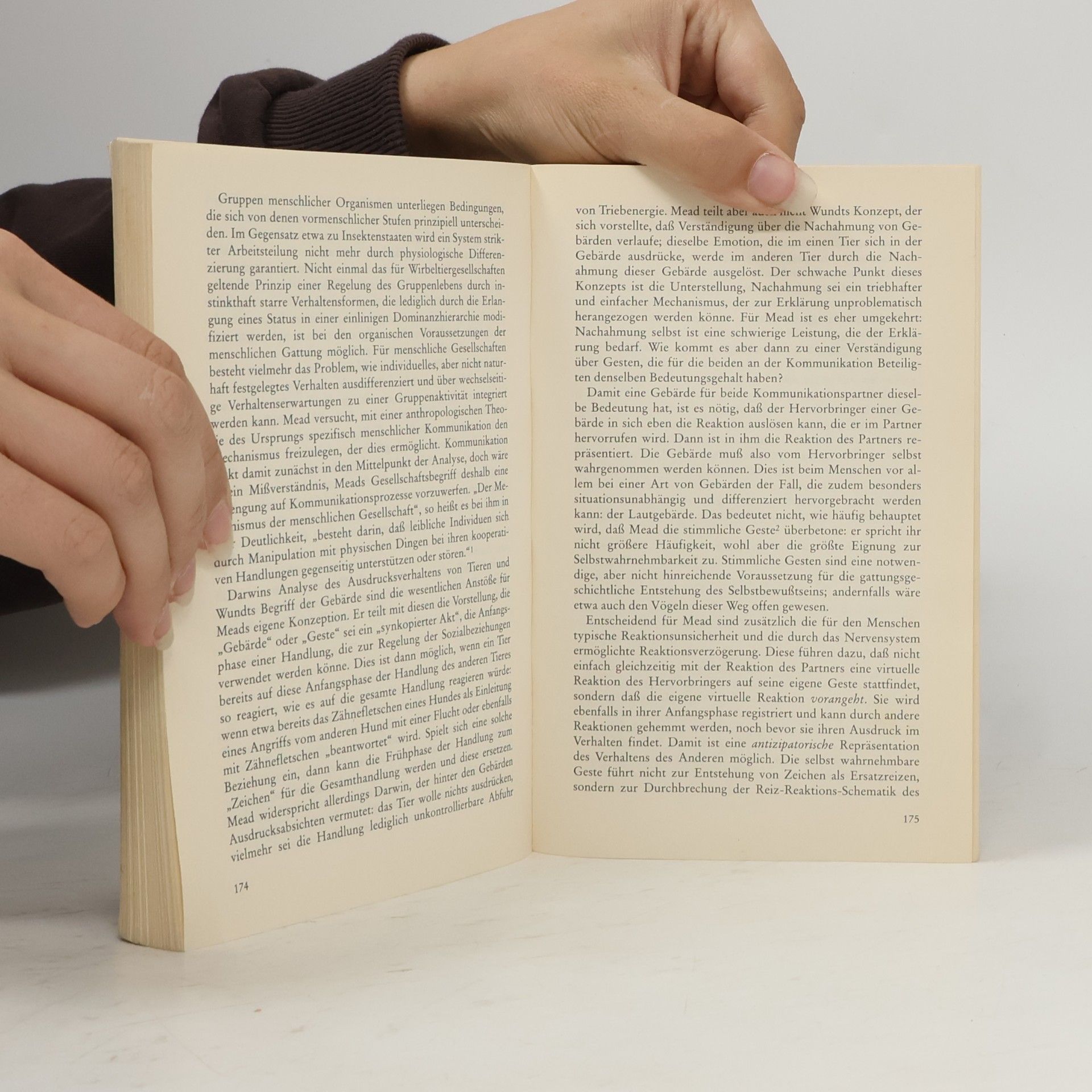 Klassiker der Soziologie